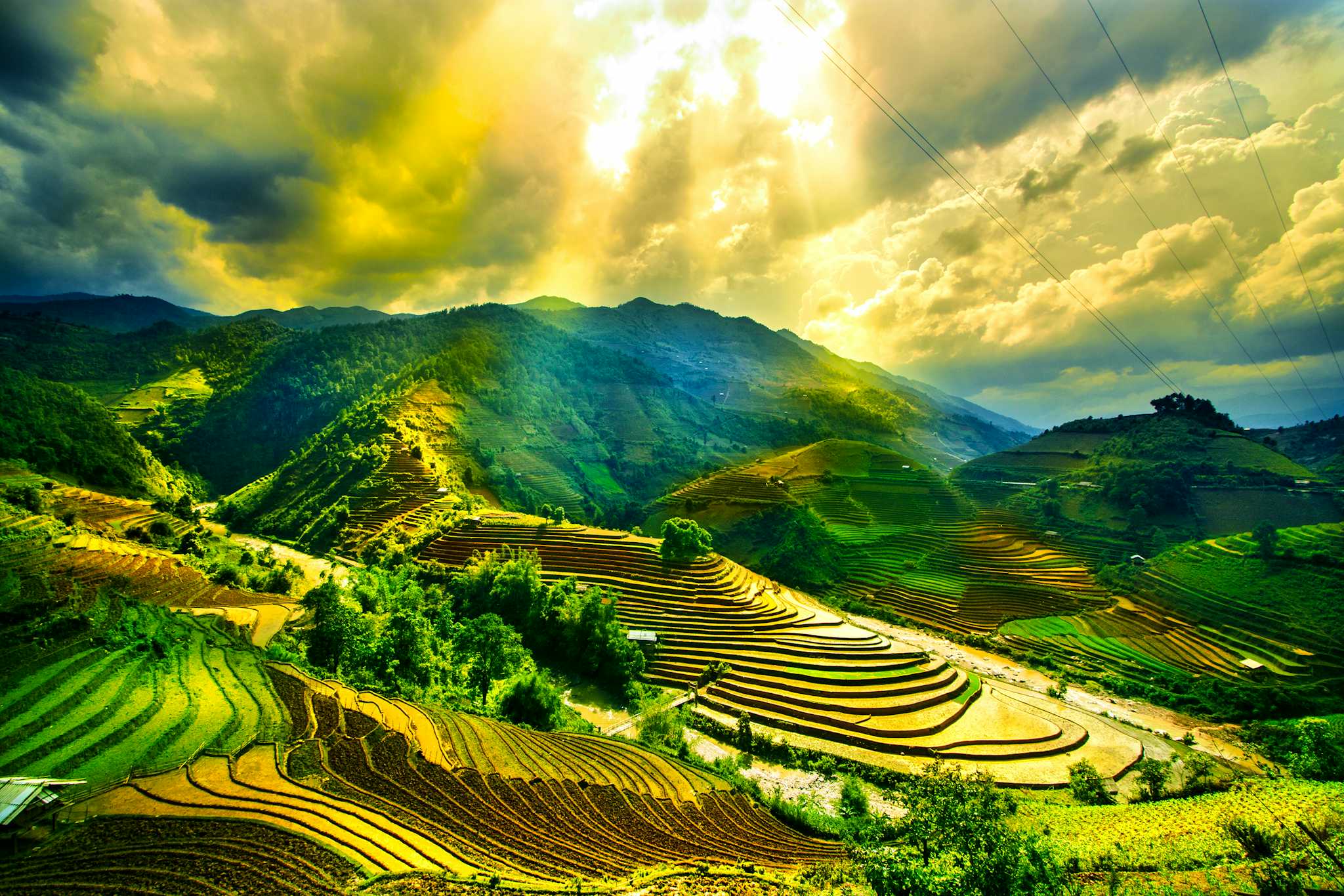 Mu Cang Chai