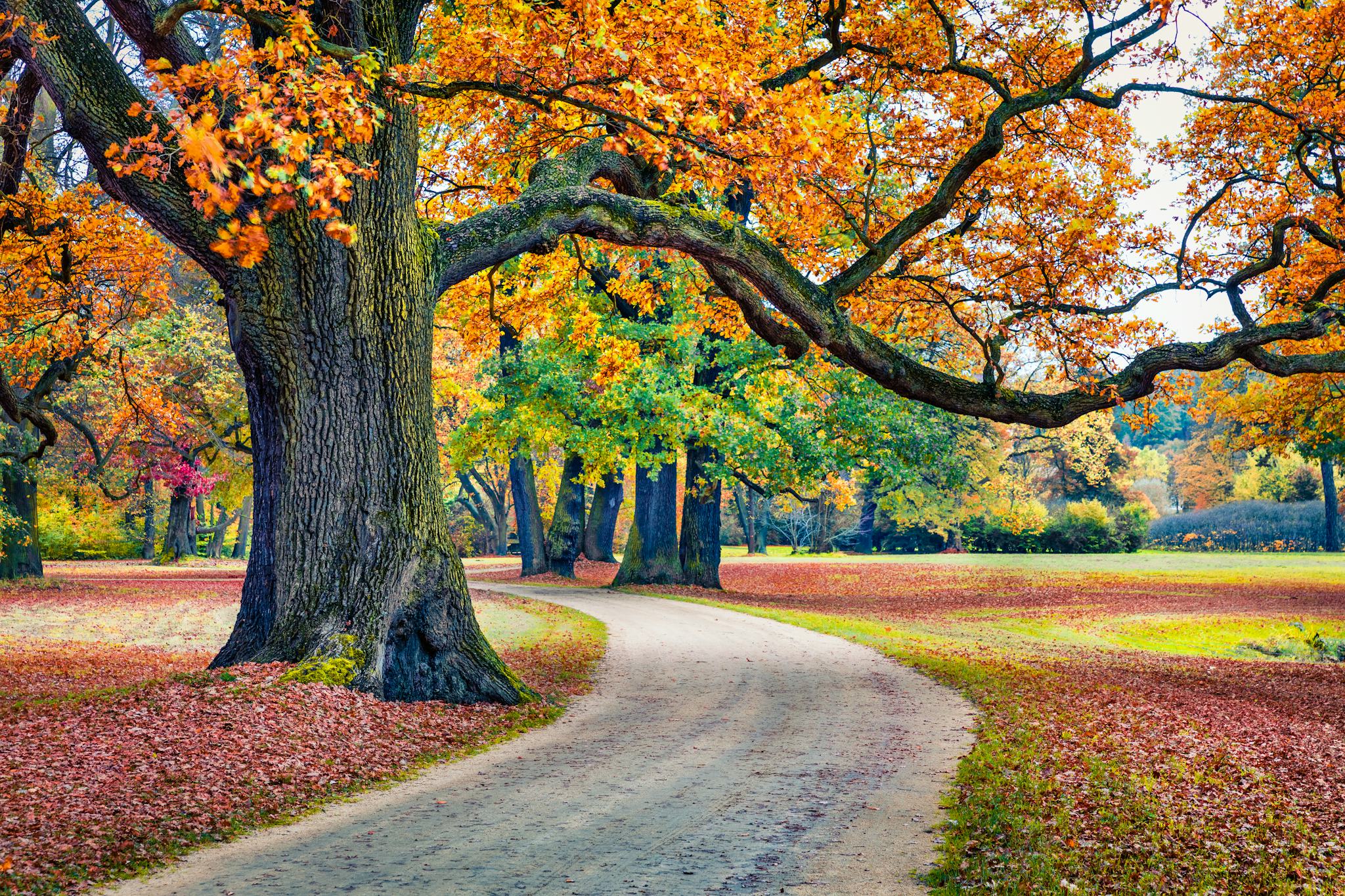 Muskau Park