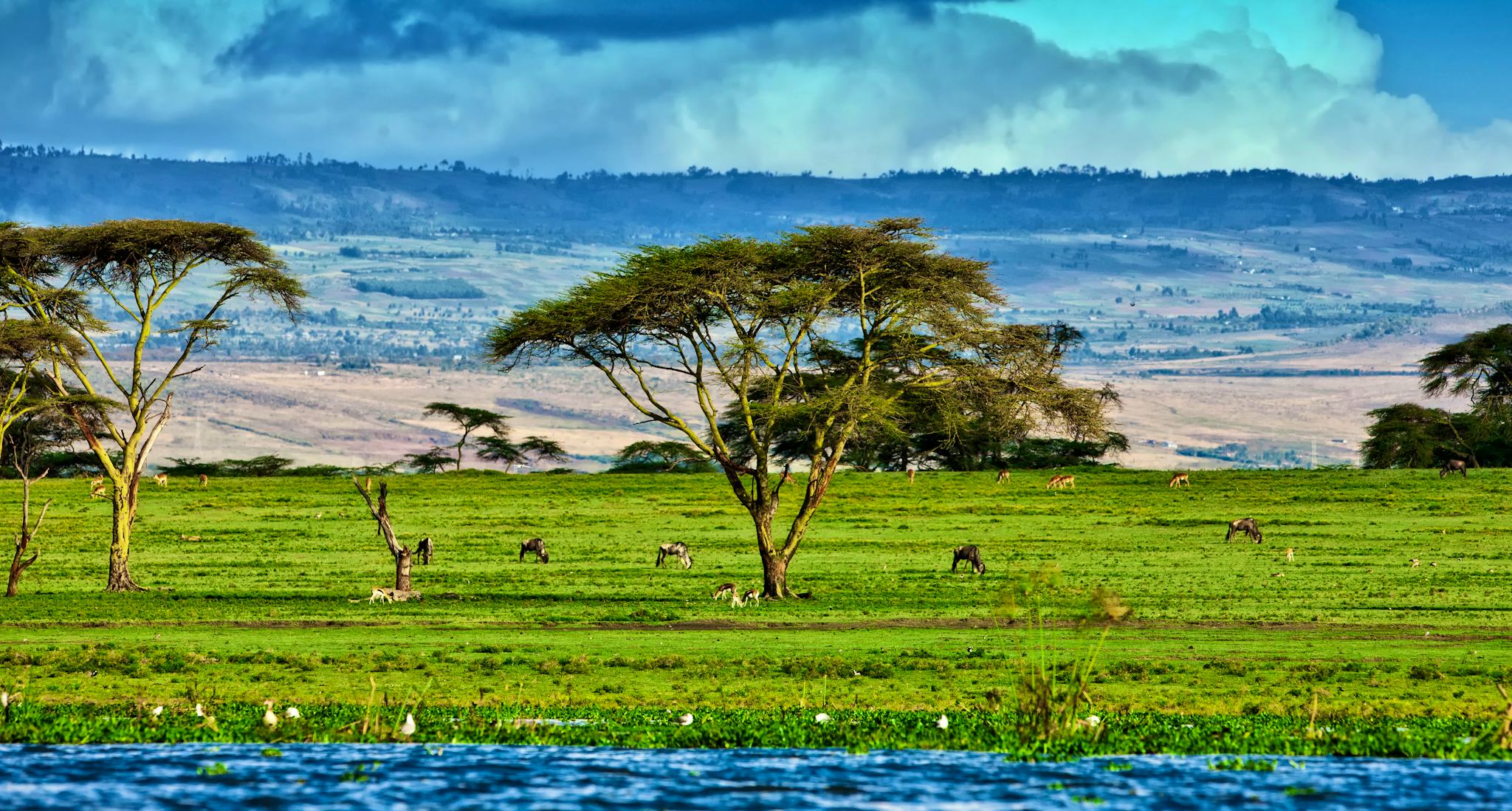 Naivasha