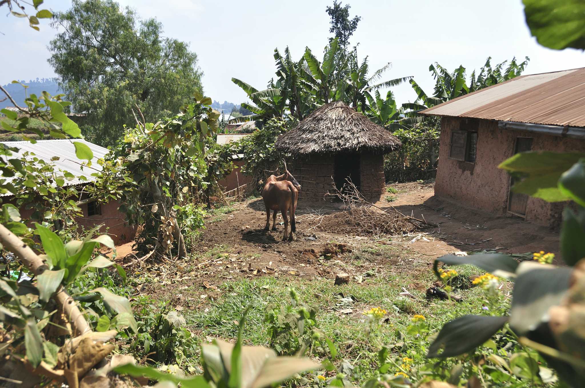 Nakapelimoru Village