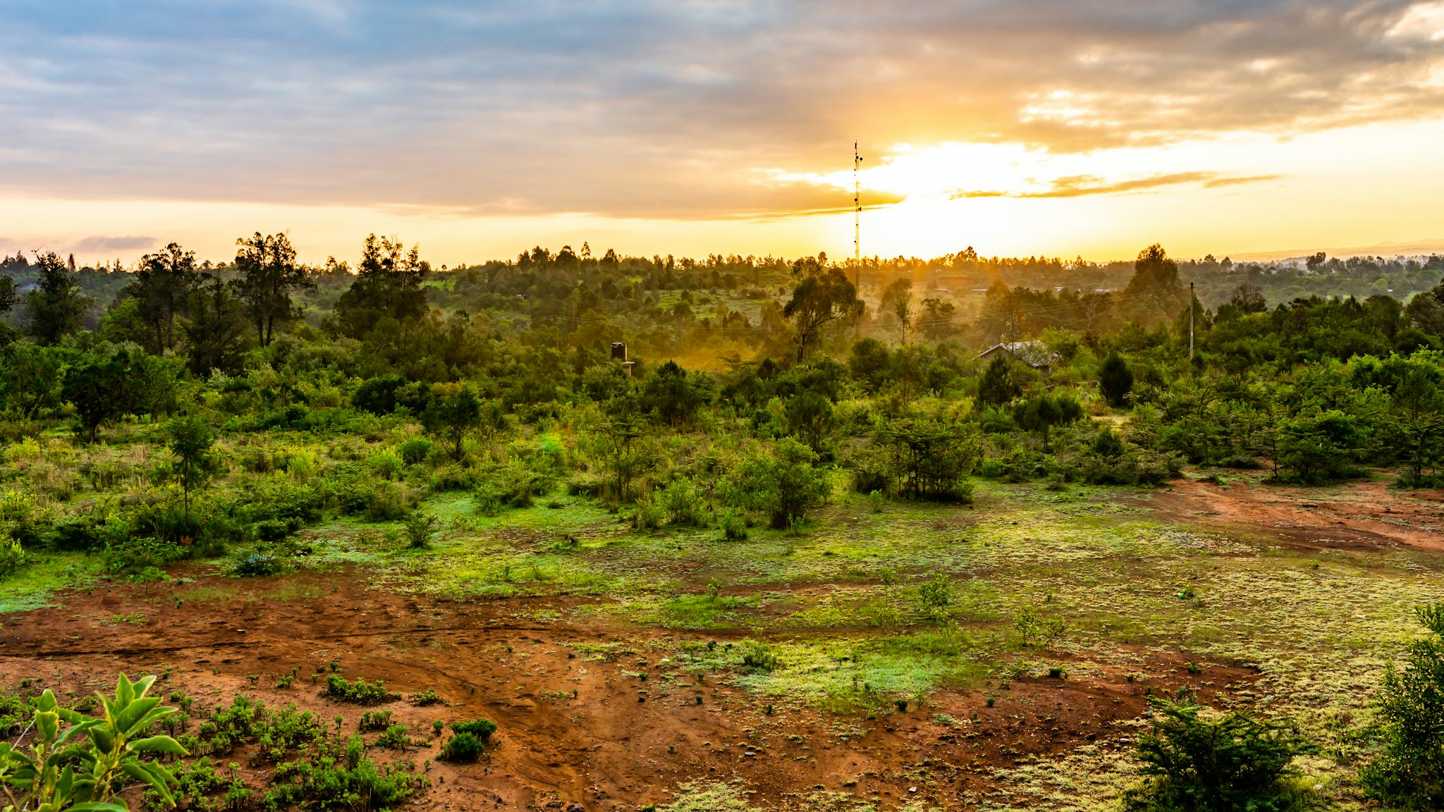 Nanyuki