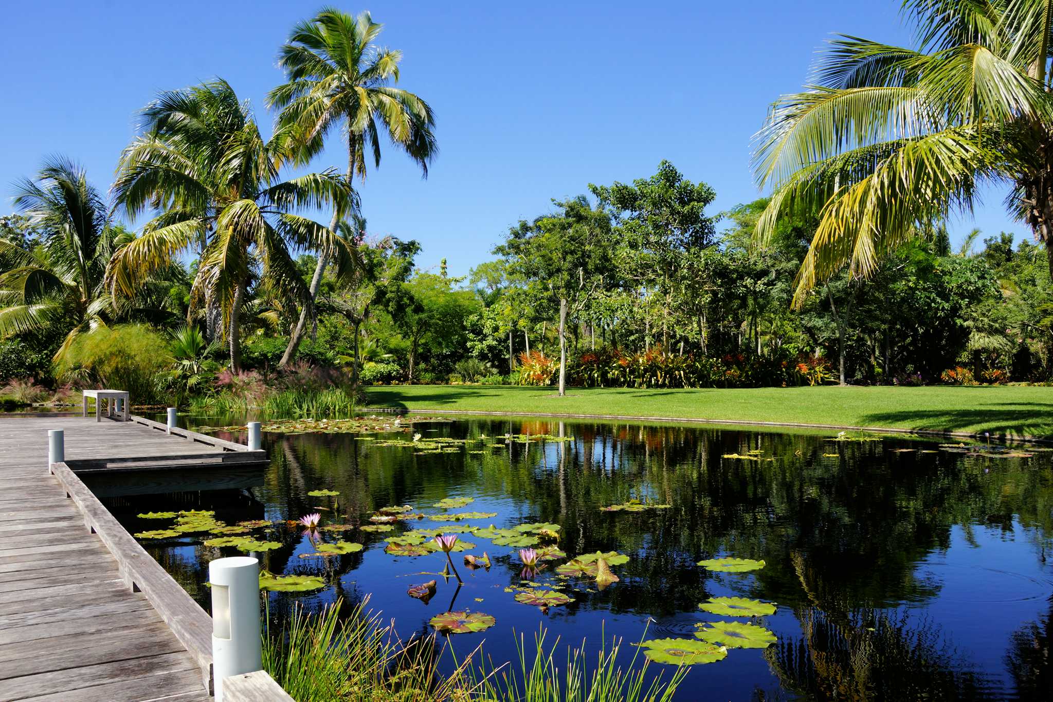 Naples Botanischer Garten