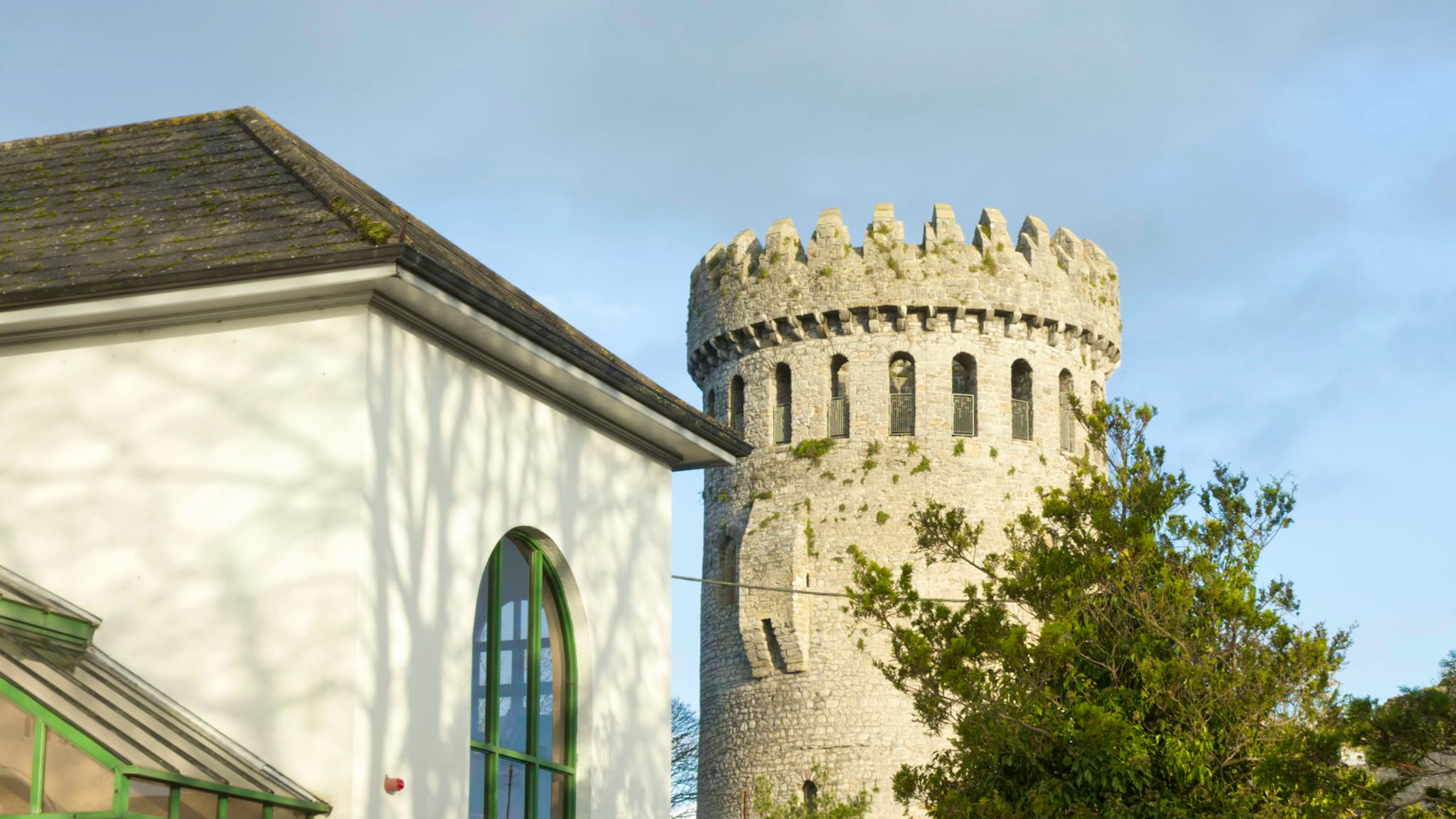 Nenagh Castle