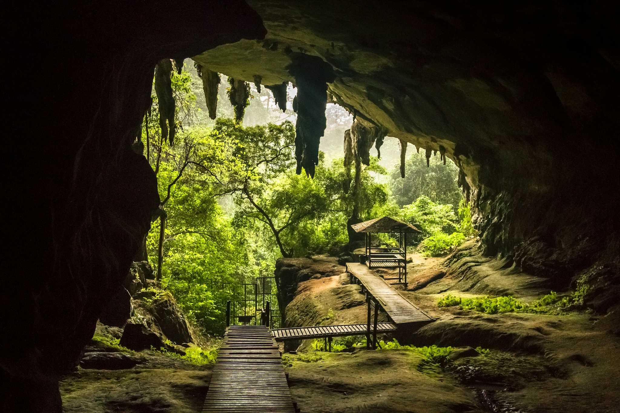 Grottes de Niah