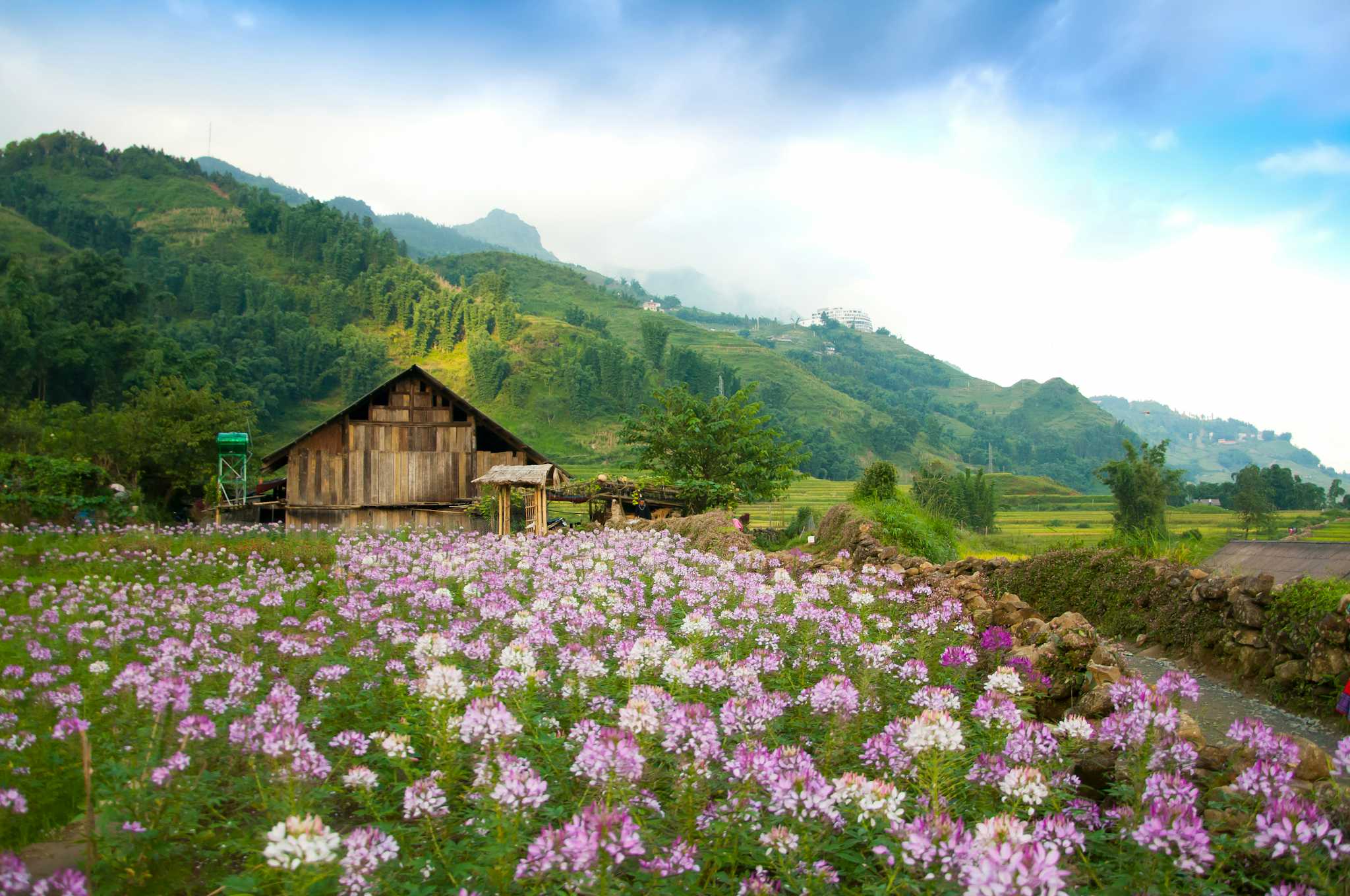 Northern Blossom Flower Farm