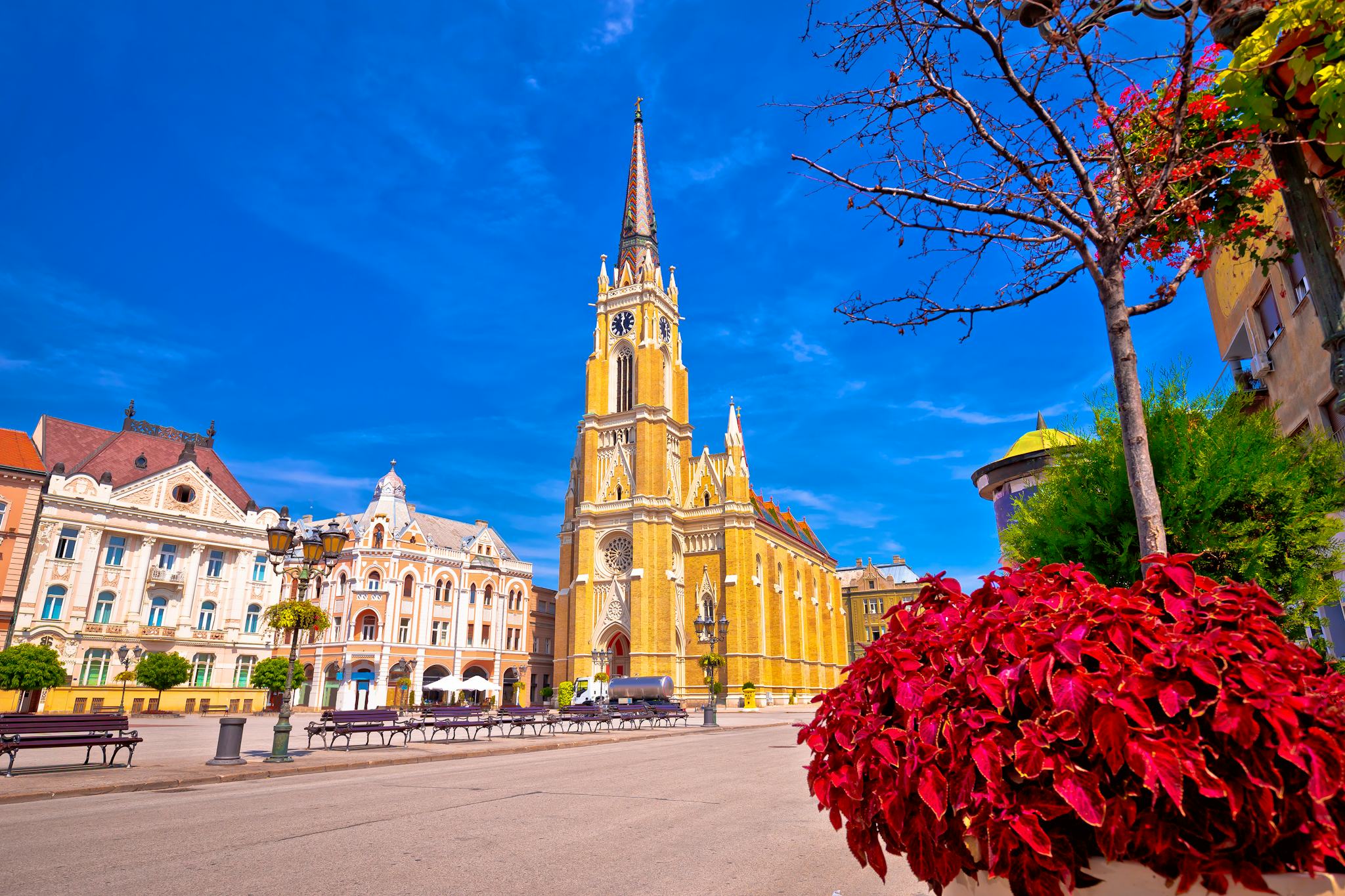 Belgrade to Novi Sad: Private day trip