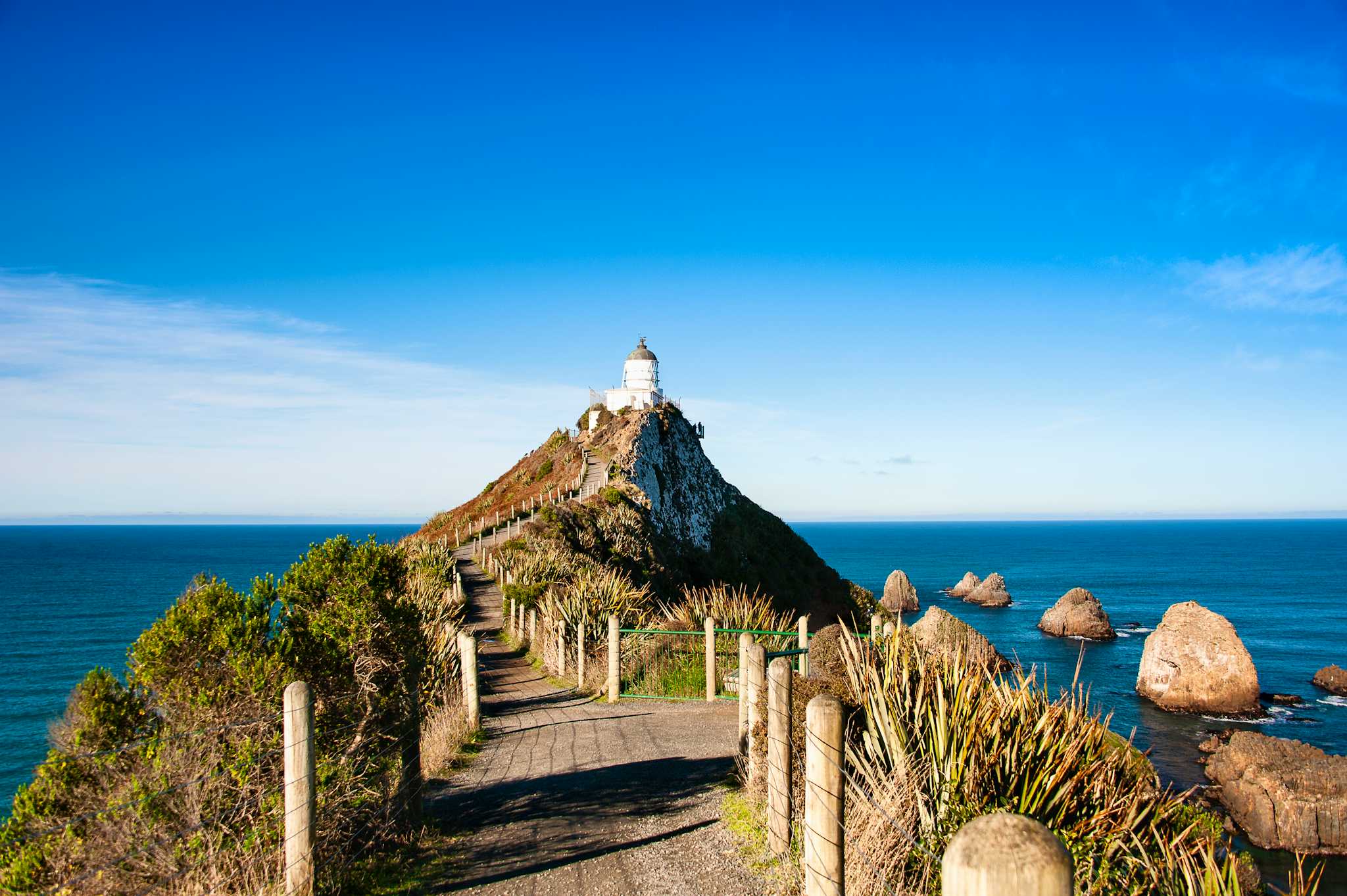 Nugget Point