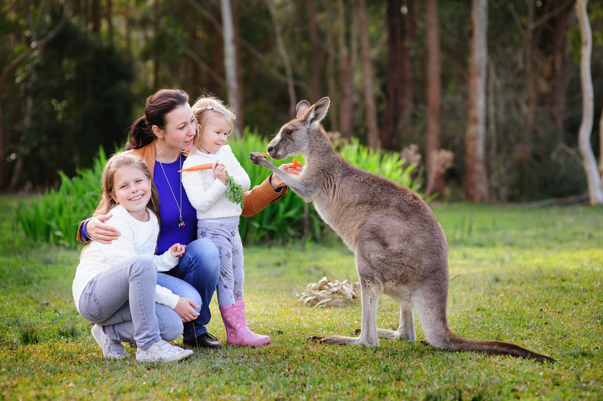 Oakvale Wildlife Park