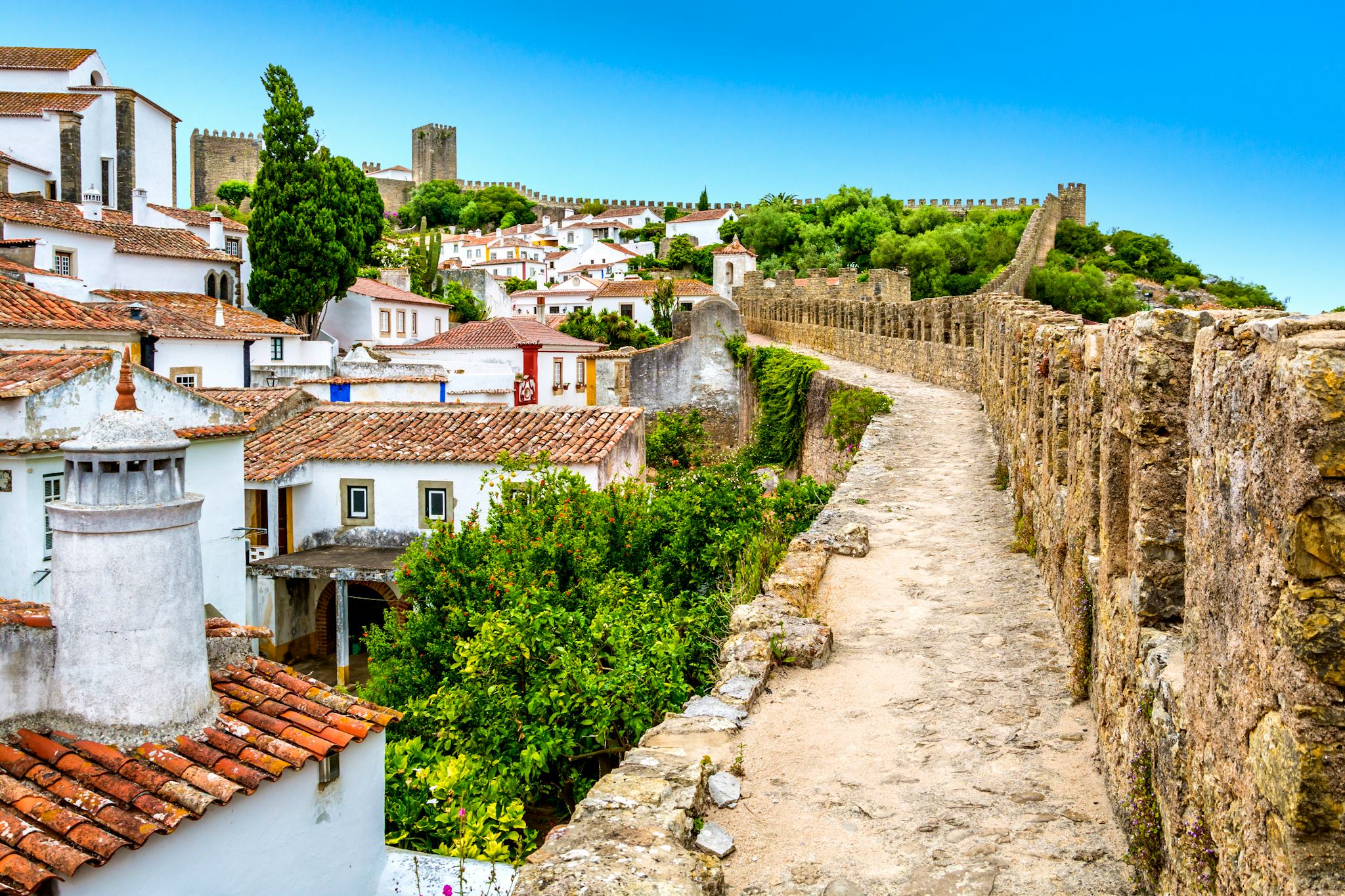 Nazare to Obidos and Caldas da Rainha: Private, guided tour