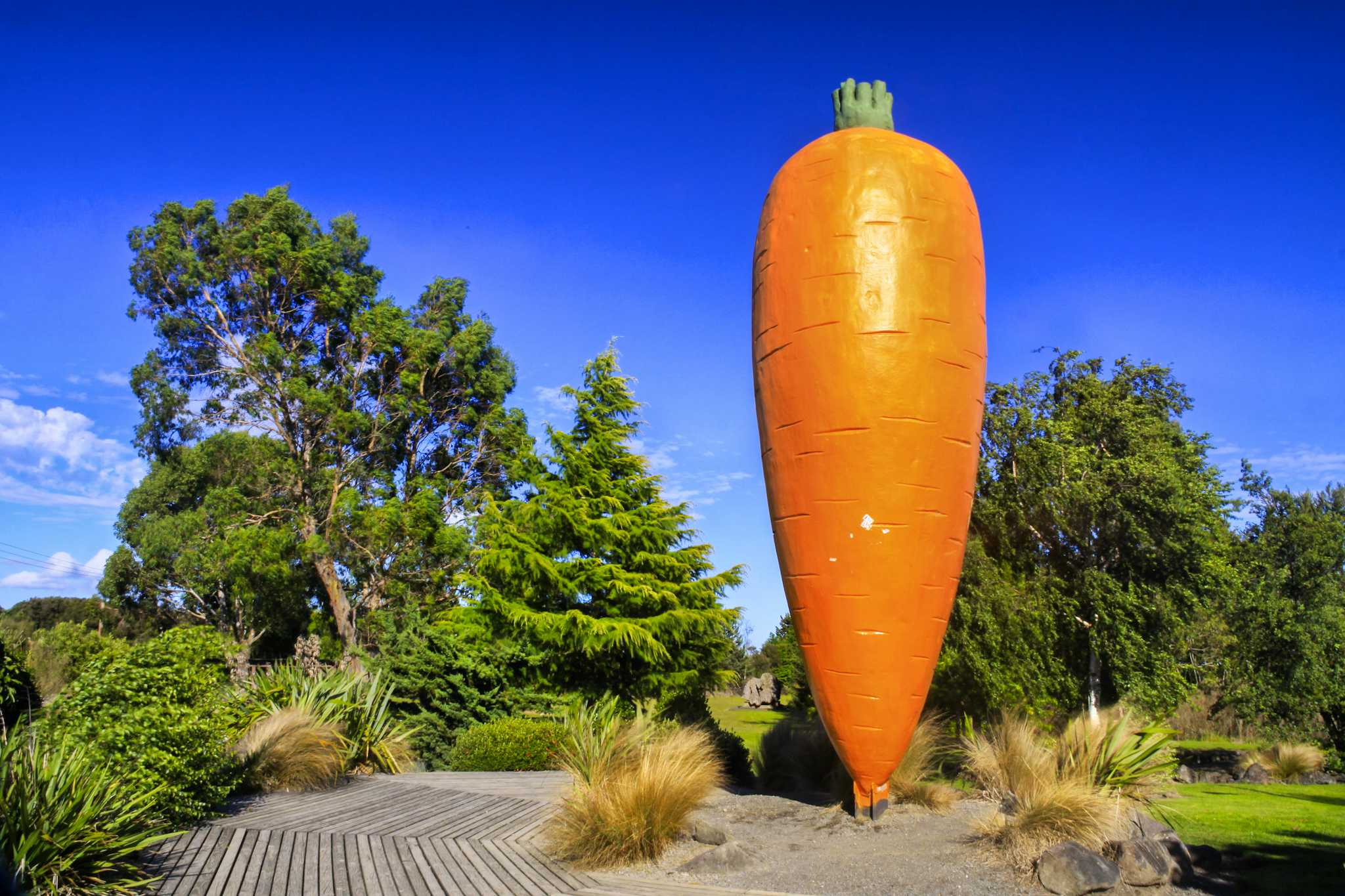 Ohakune