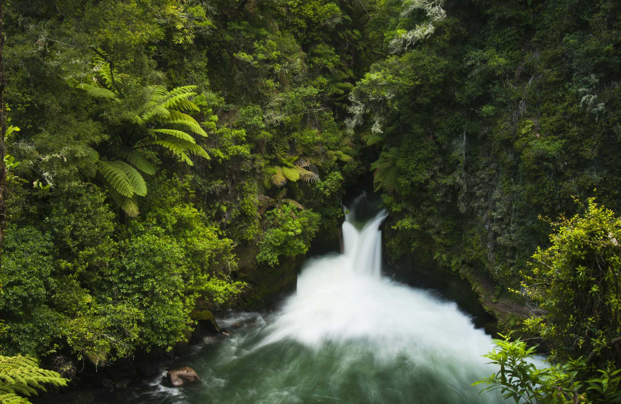 Cataratas Okere