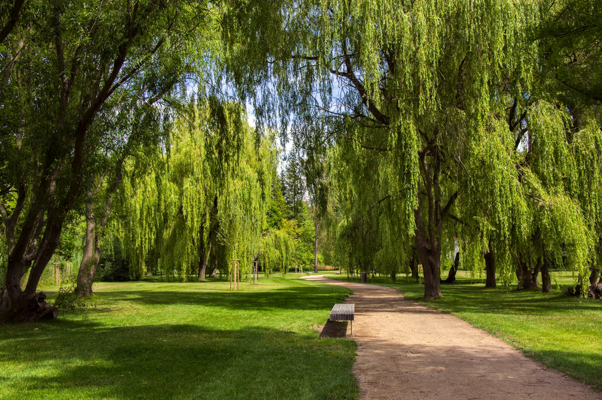 Oldenburg Castle Garden