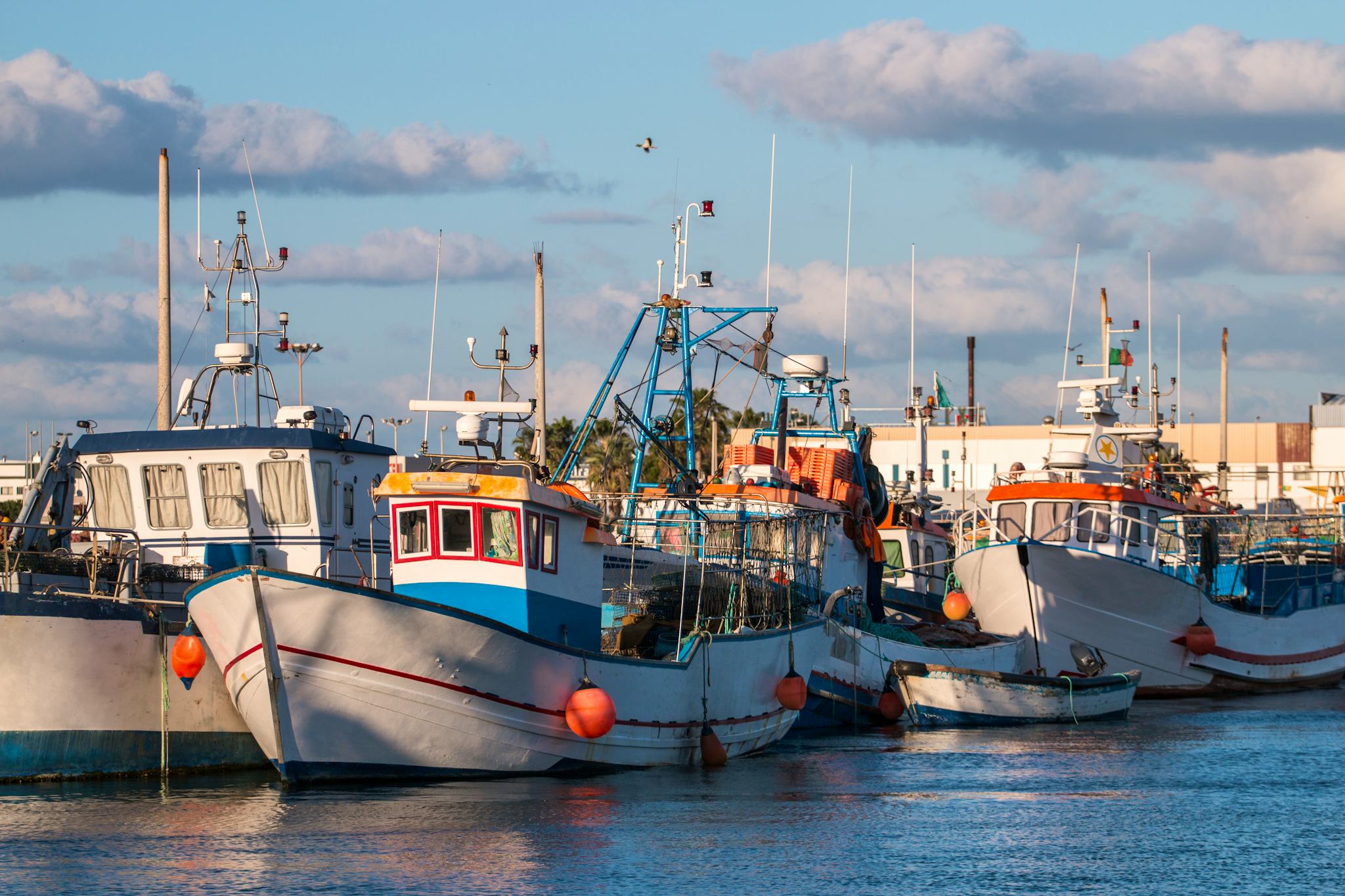 Faro City to Olhao and Falesia beach: Private, guided tour