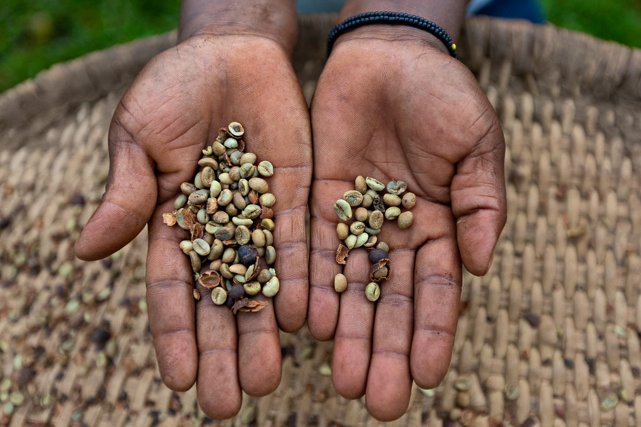 Coopérative des Femmes d'Omwani