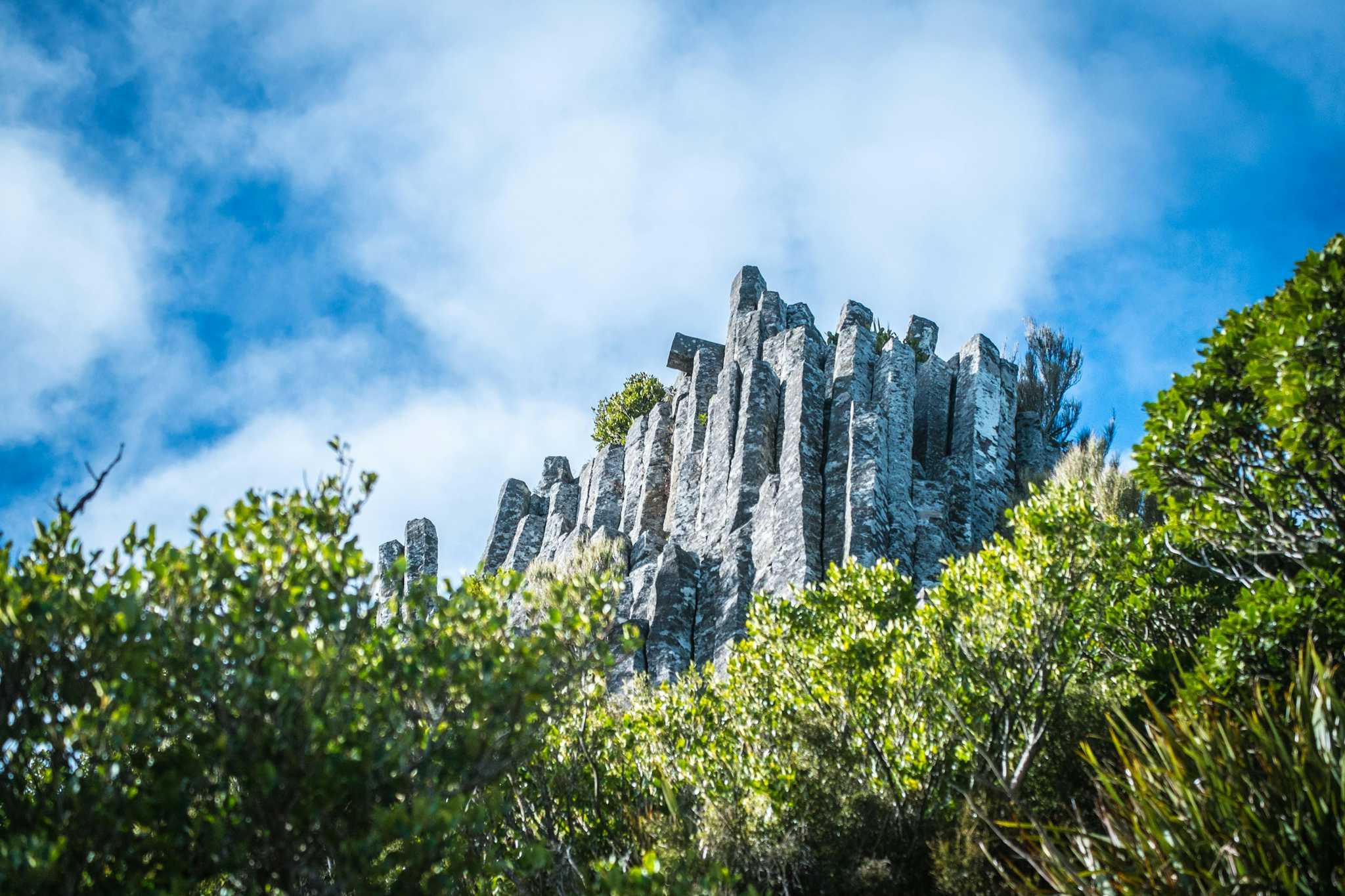 Organ Pipes