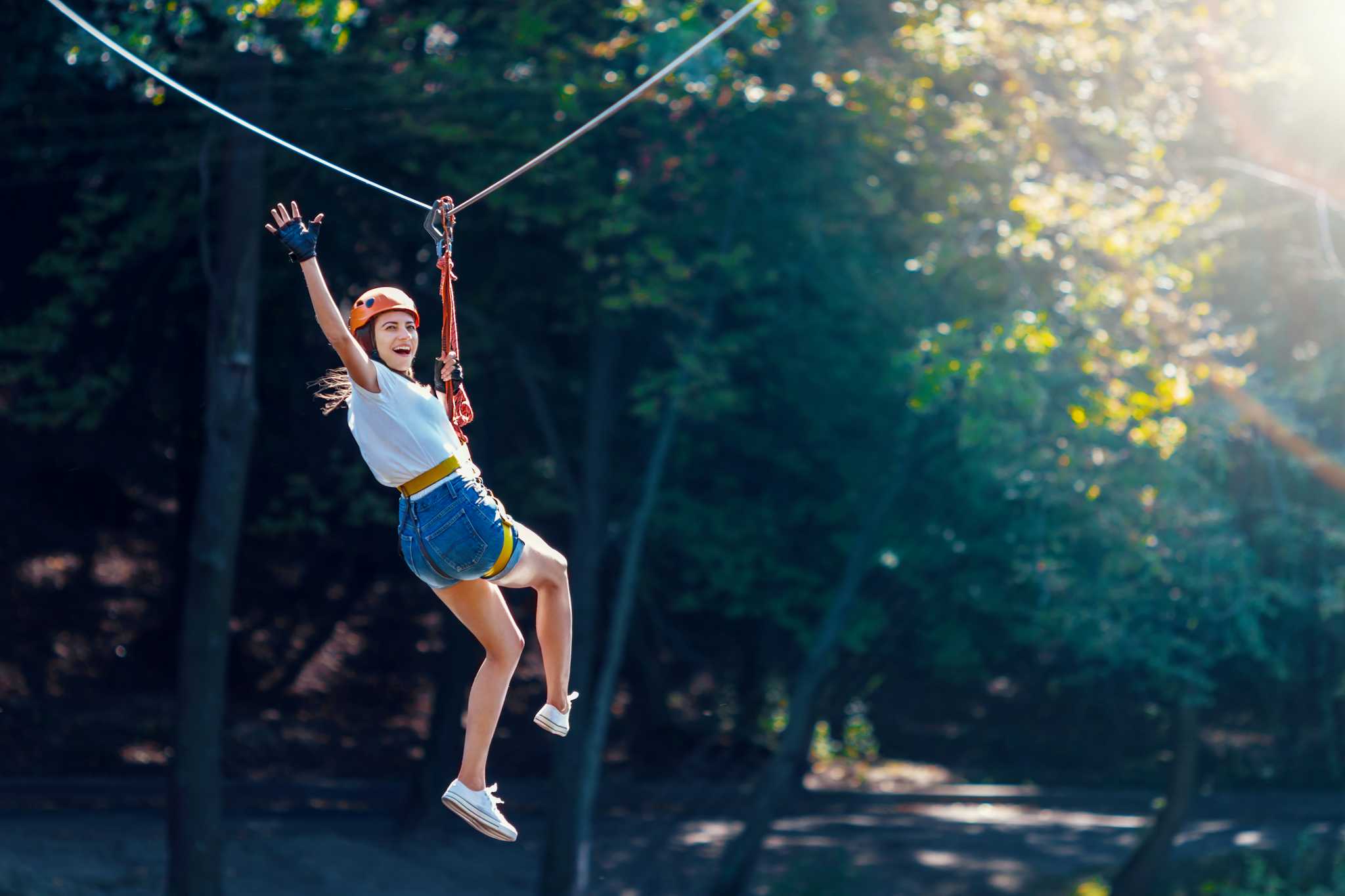 Otway Fly Treetop Adventures