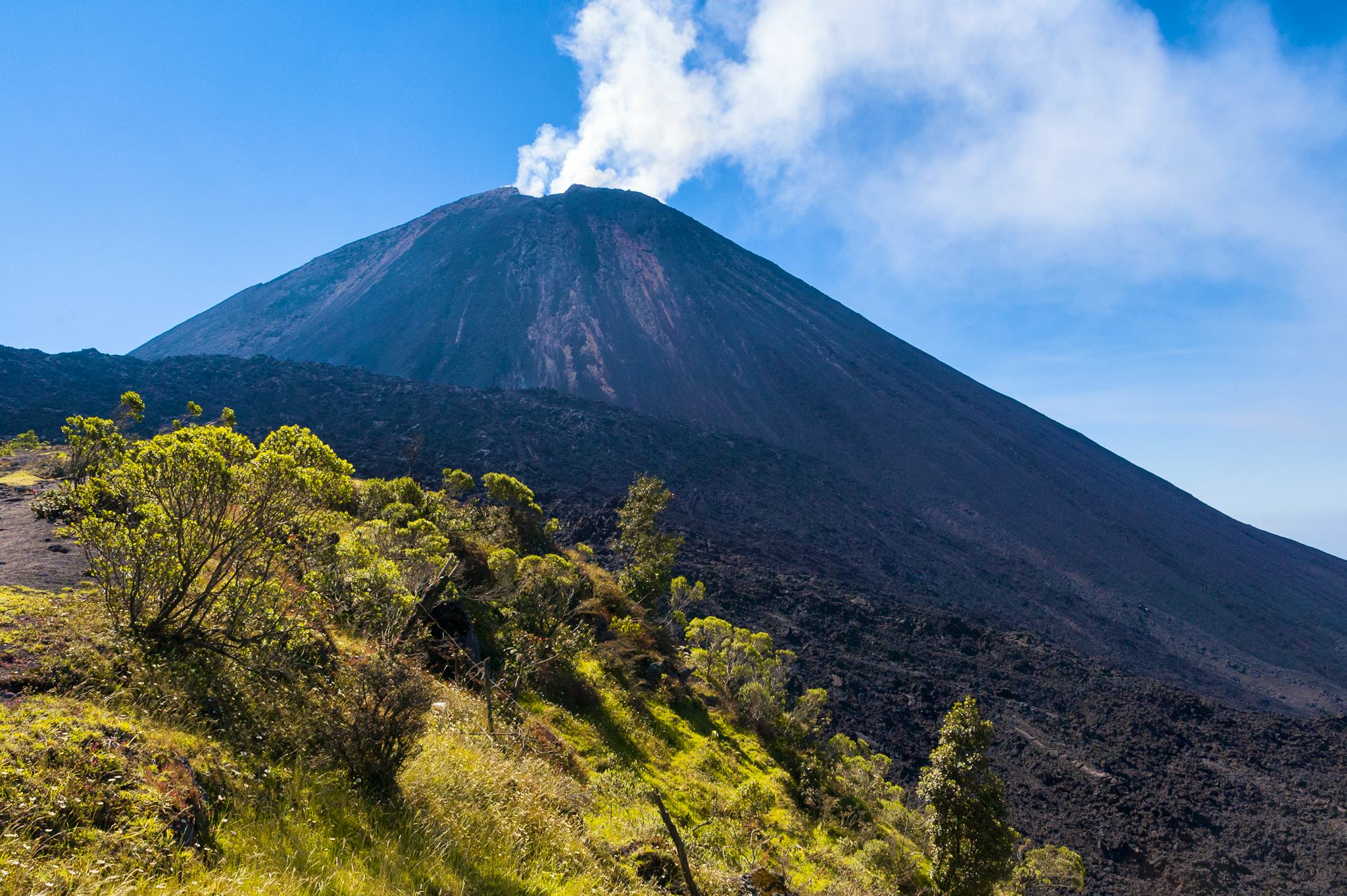 Pacaya Volcano