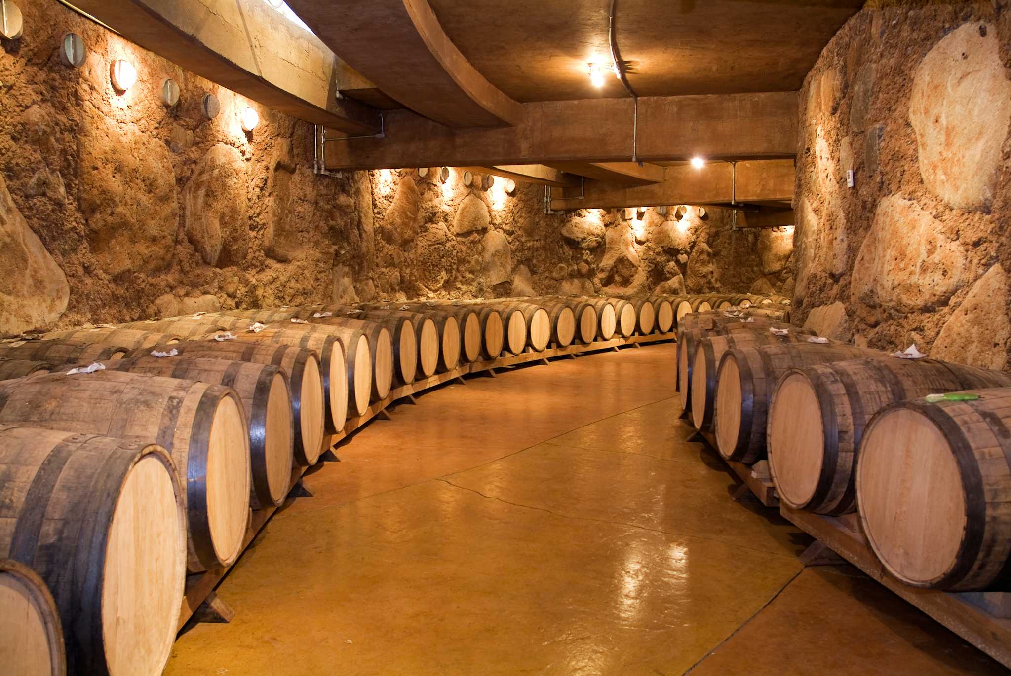 Pagos del Rey Wine Museum