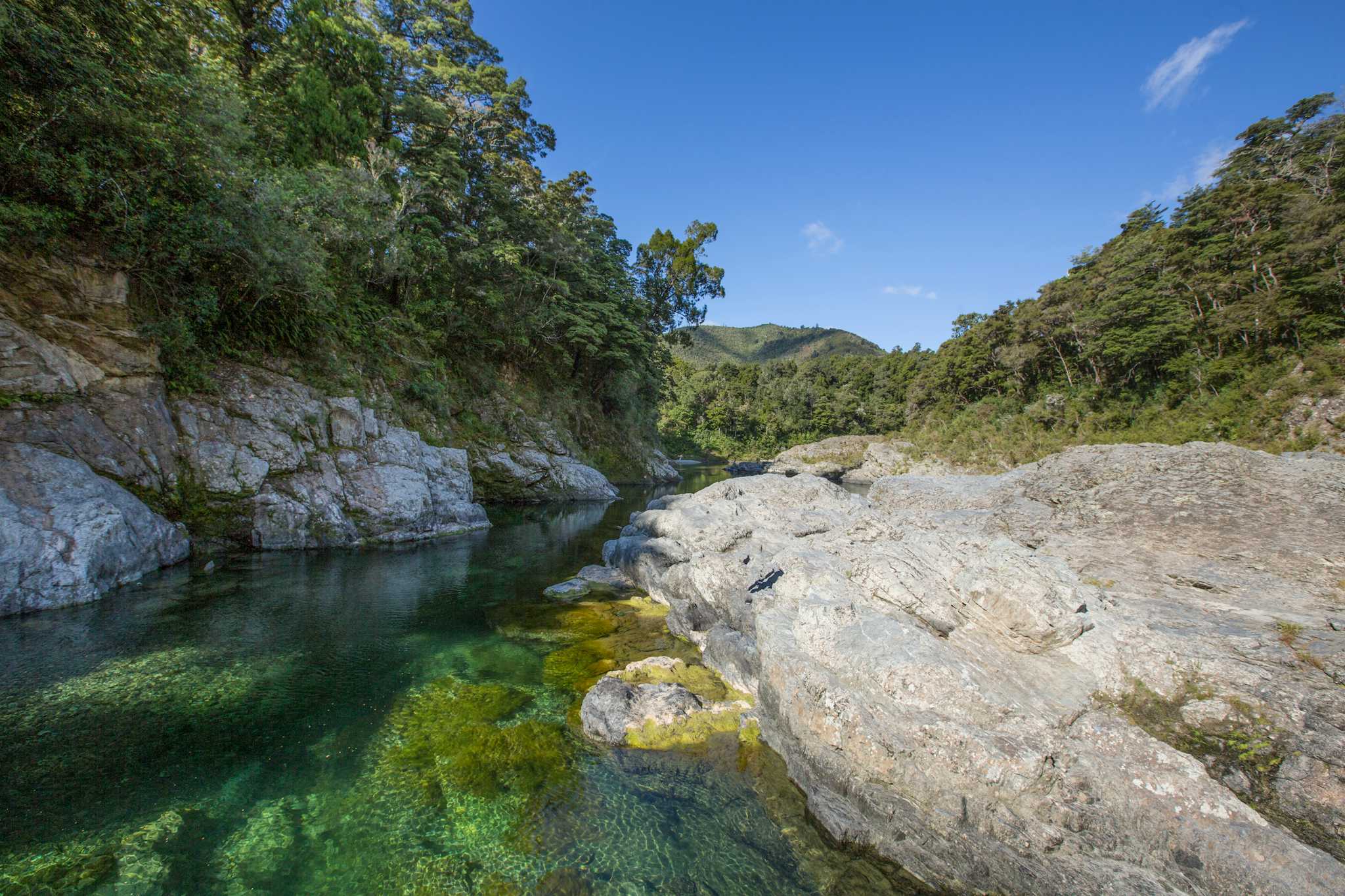 Pelorus Bridge Scenic Reserve