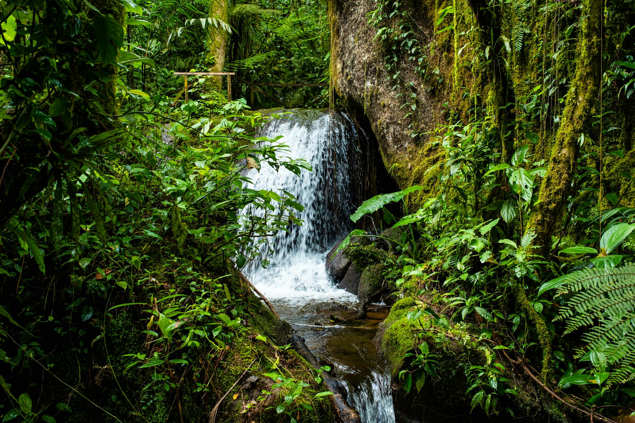 Penas Blancas - Nicaragua