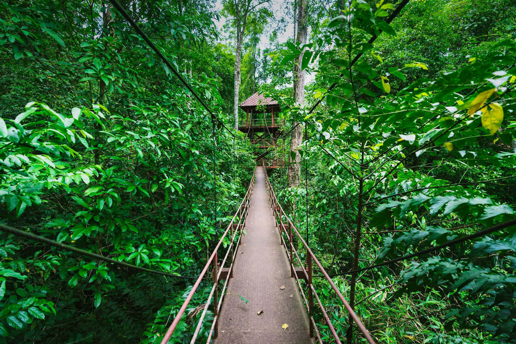 Jardin Botanique Péninsulaire