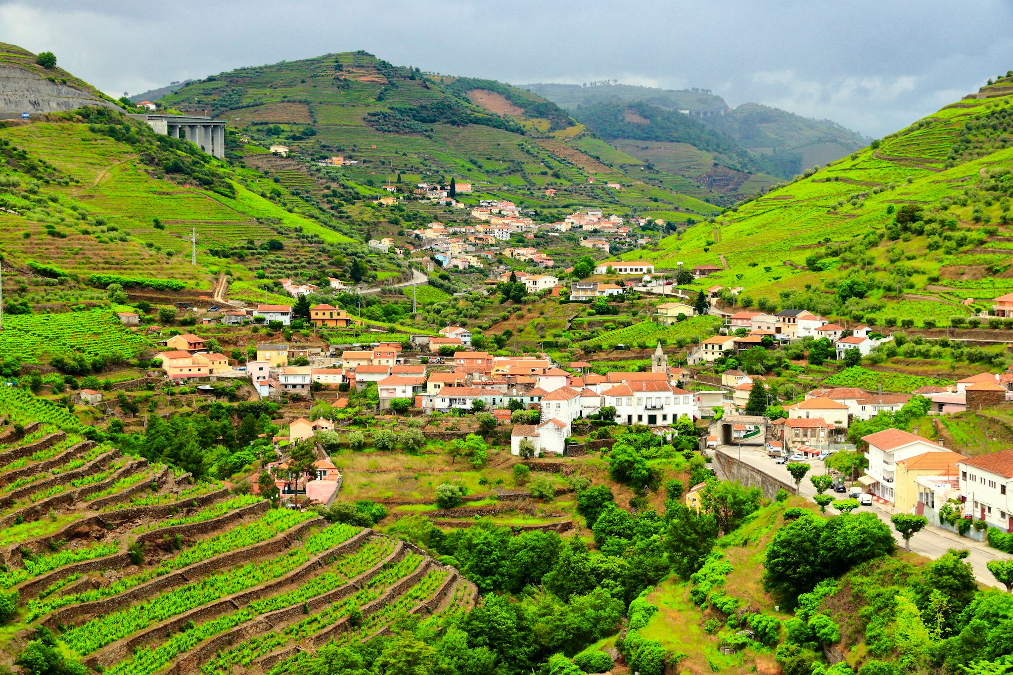 Peso da Regua