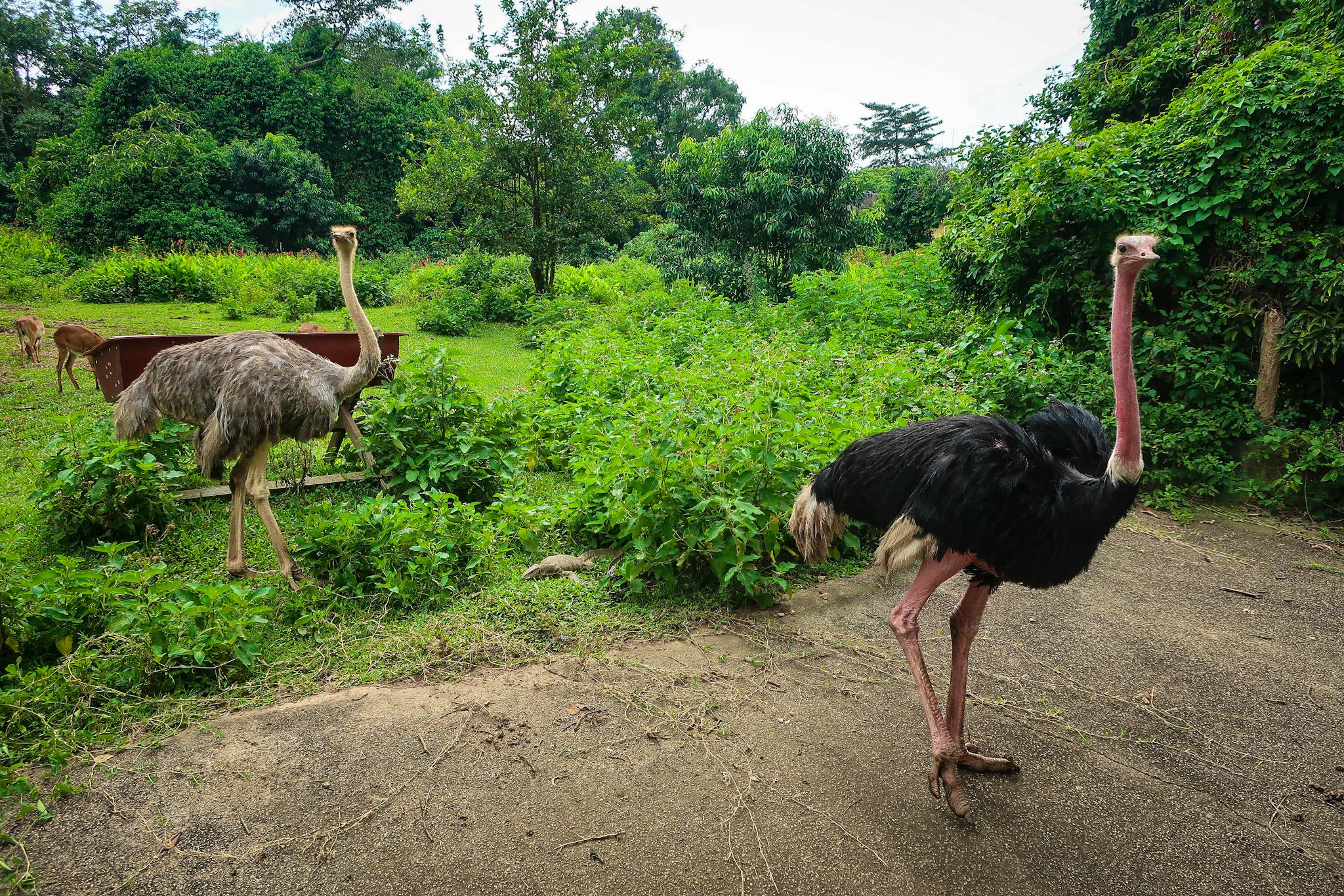 Pian Upe Wildlife Reserve