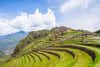 Pisac