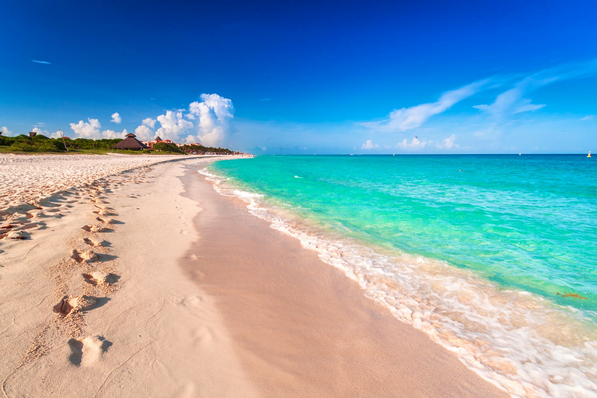 Akumal to Playa del Carmen and Puerto Aventuras: Day trip