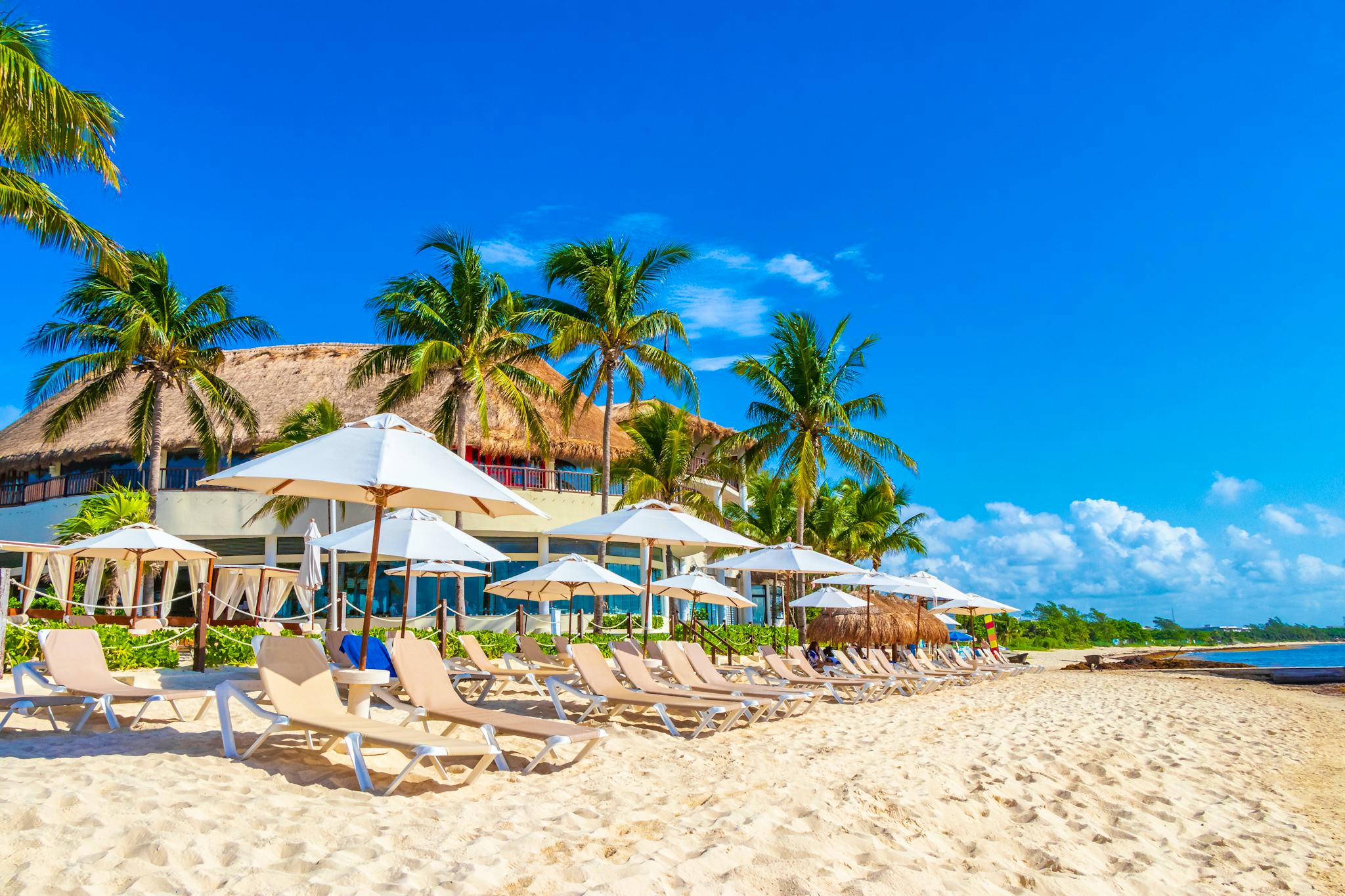 Puerto Morelos to Riviera Maya: Private day trip