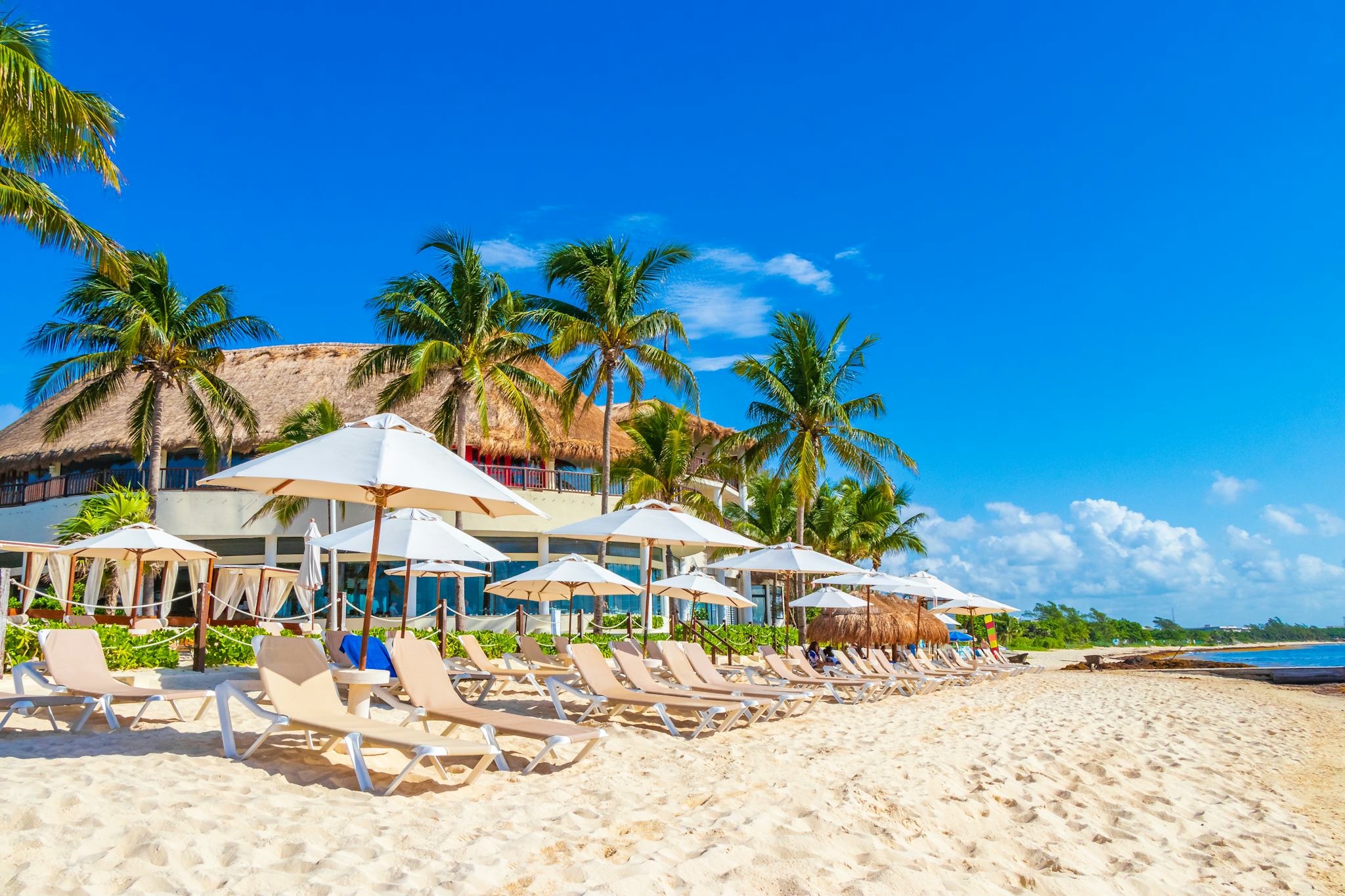 Puerto Morelos to Riviera Maya: Private day trip hero image