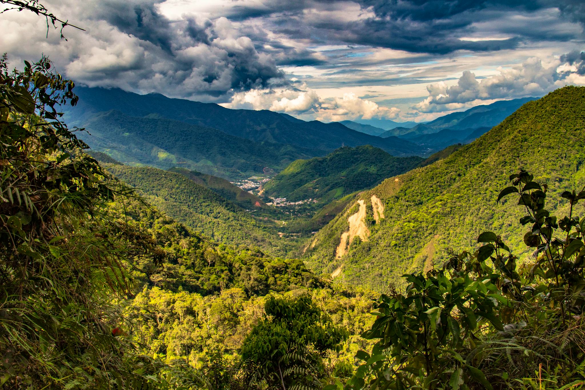 Parc National Podocarpus