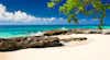 Xcaret