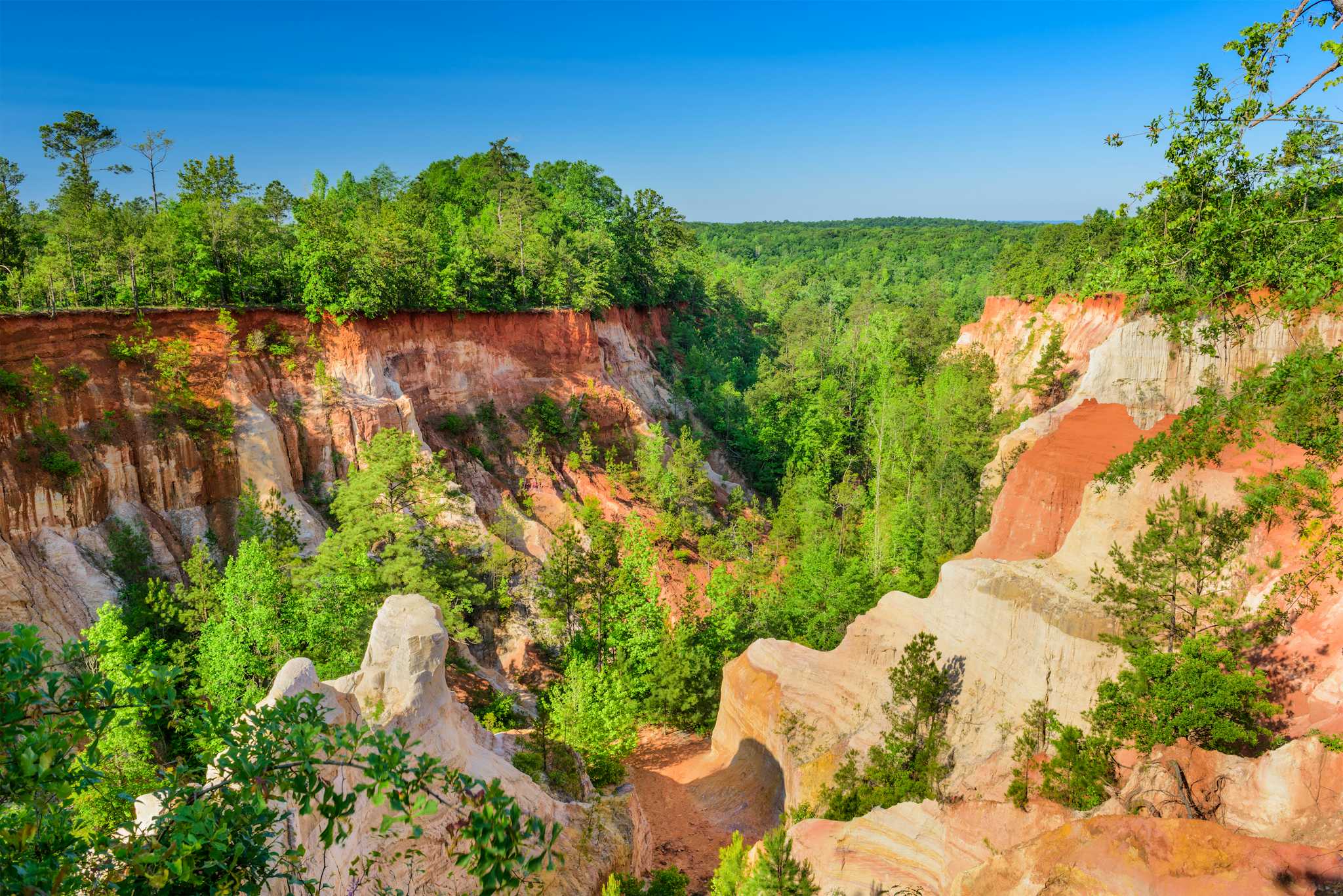 Providence Canyon State Park