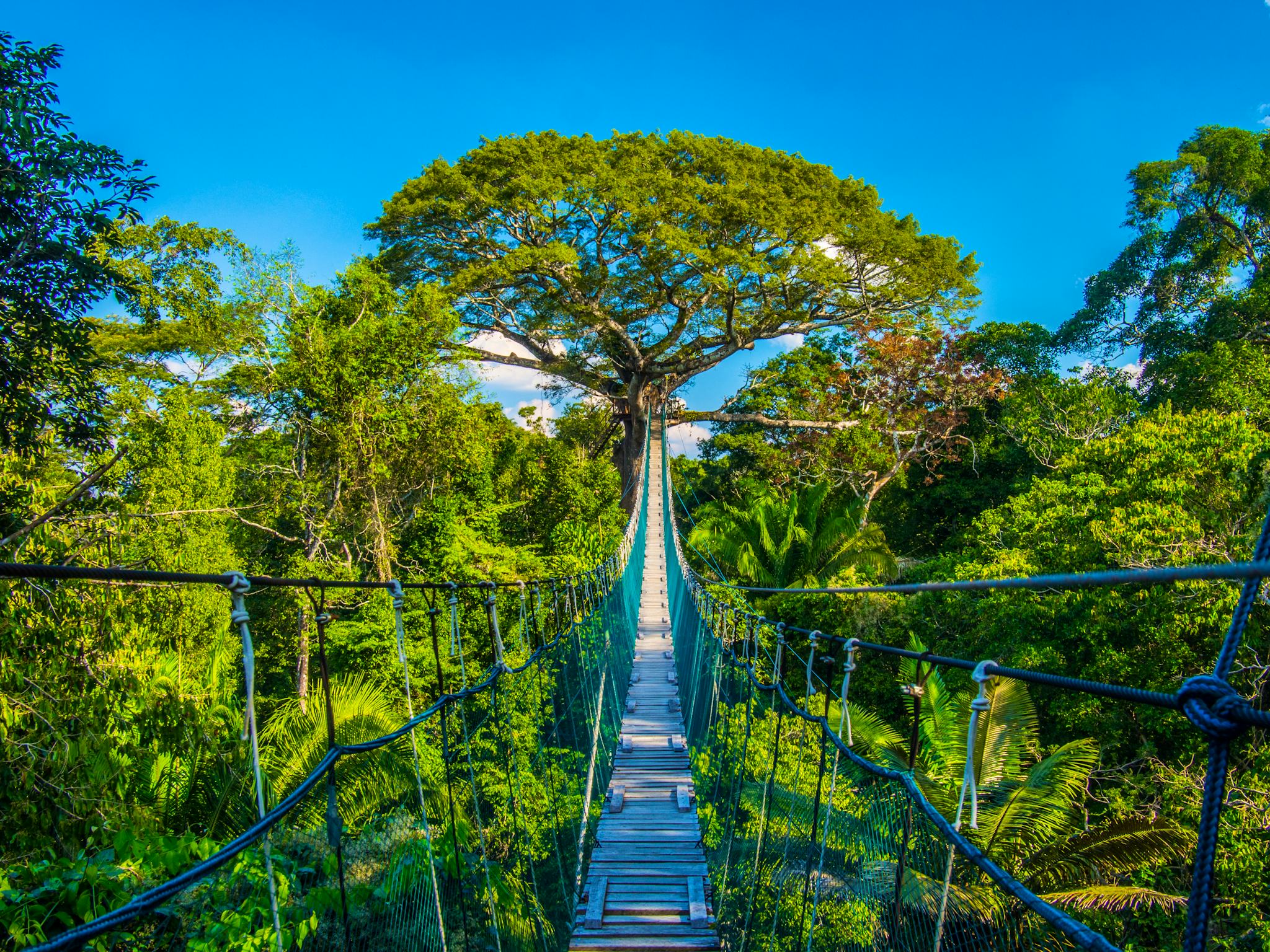 Puerto Maldonado