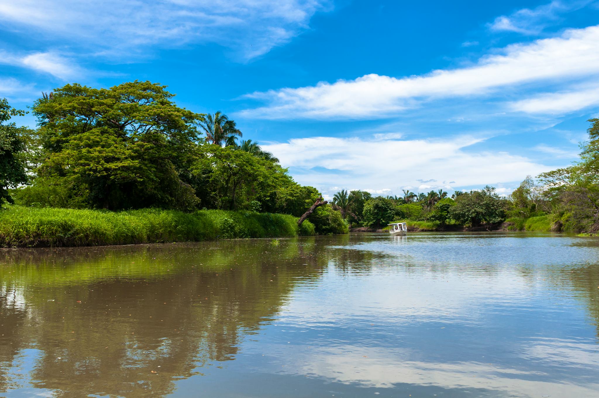 Puerto Viejo de Sarapiqui