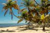 Punta Allen