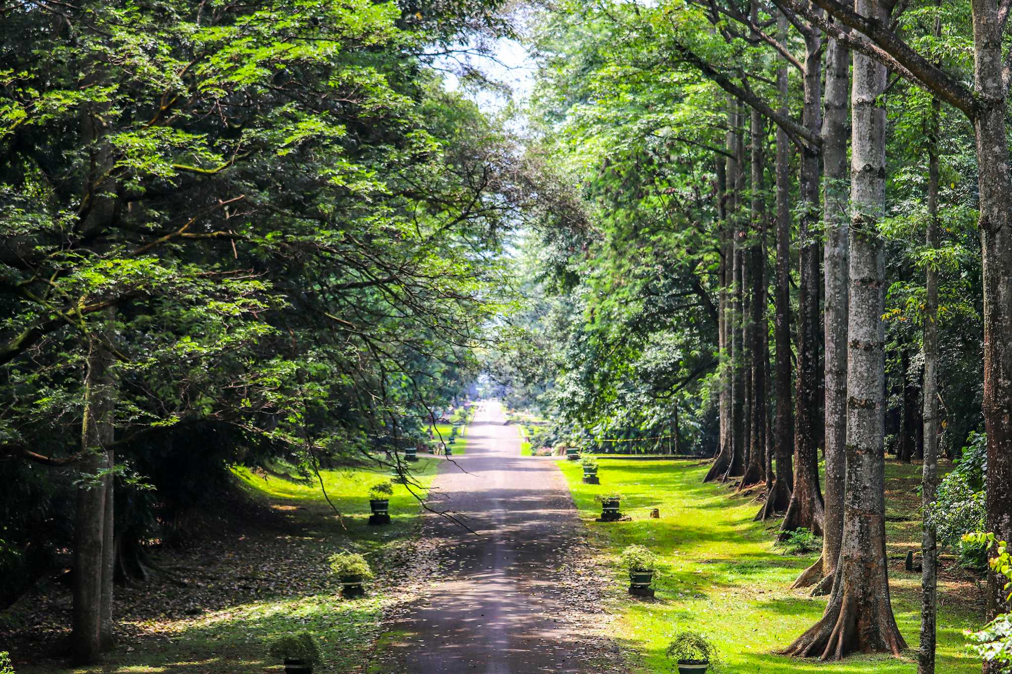 Purwodadi Botanical Garden