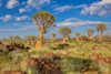 Discover location header image