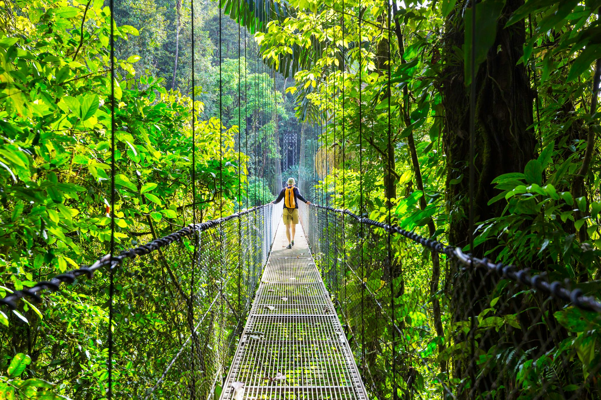 San Jose to Rainmaker Forest: Private day trip