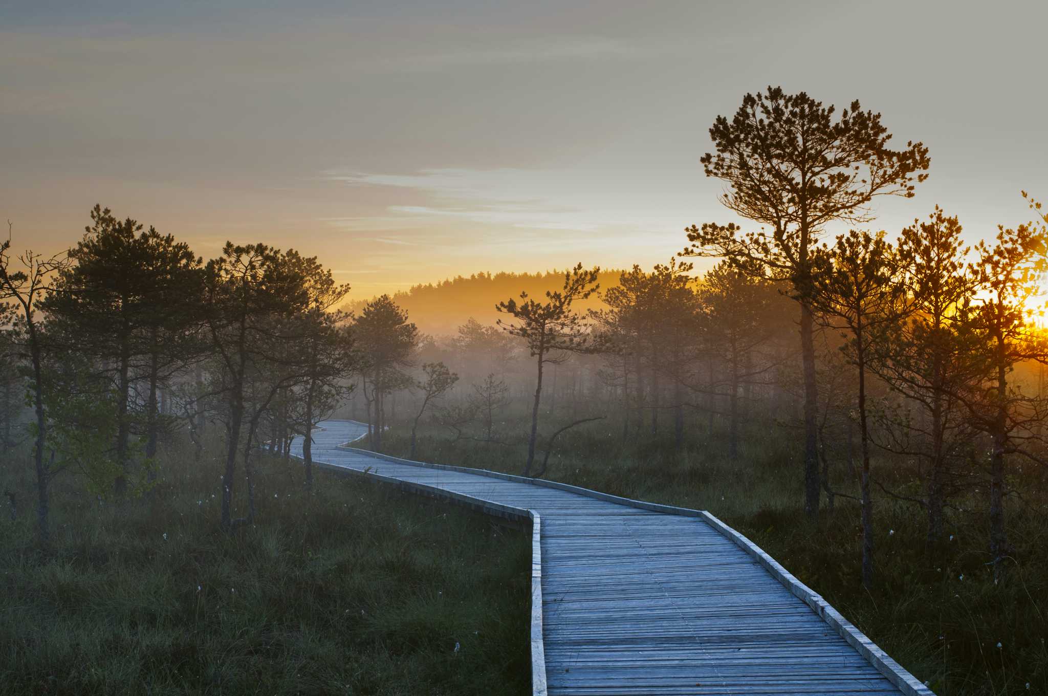 Rannametsa Tolkuse Nature Trail