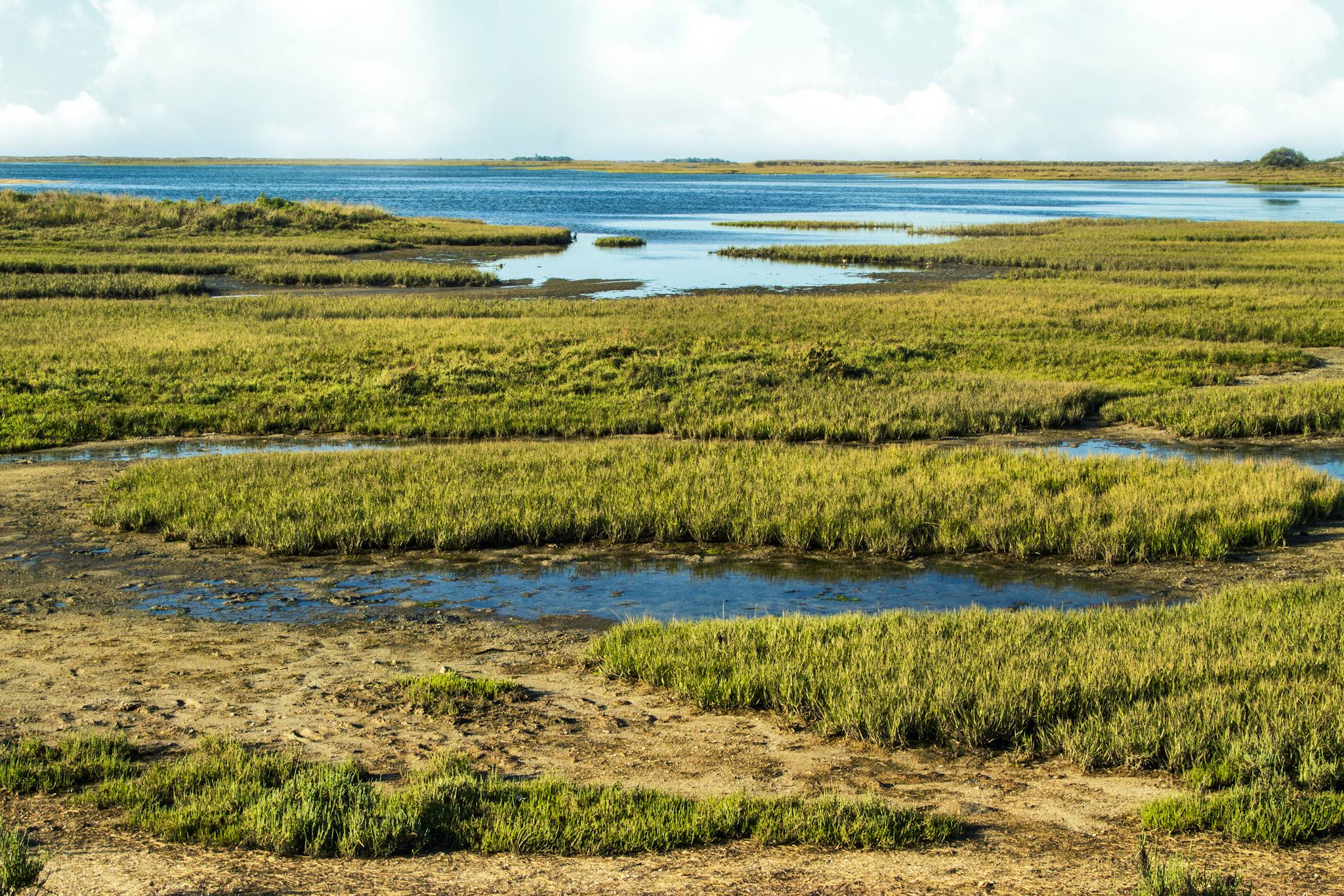 Ria Formosa National Park