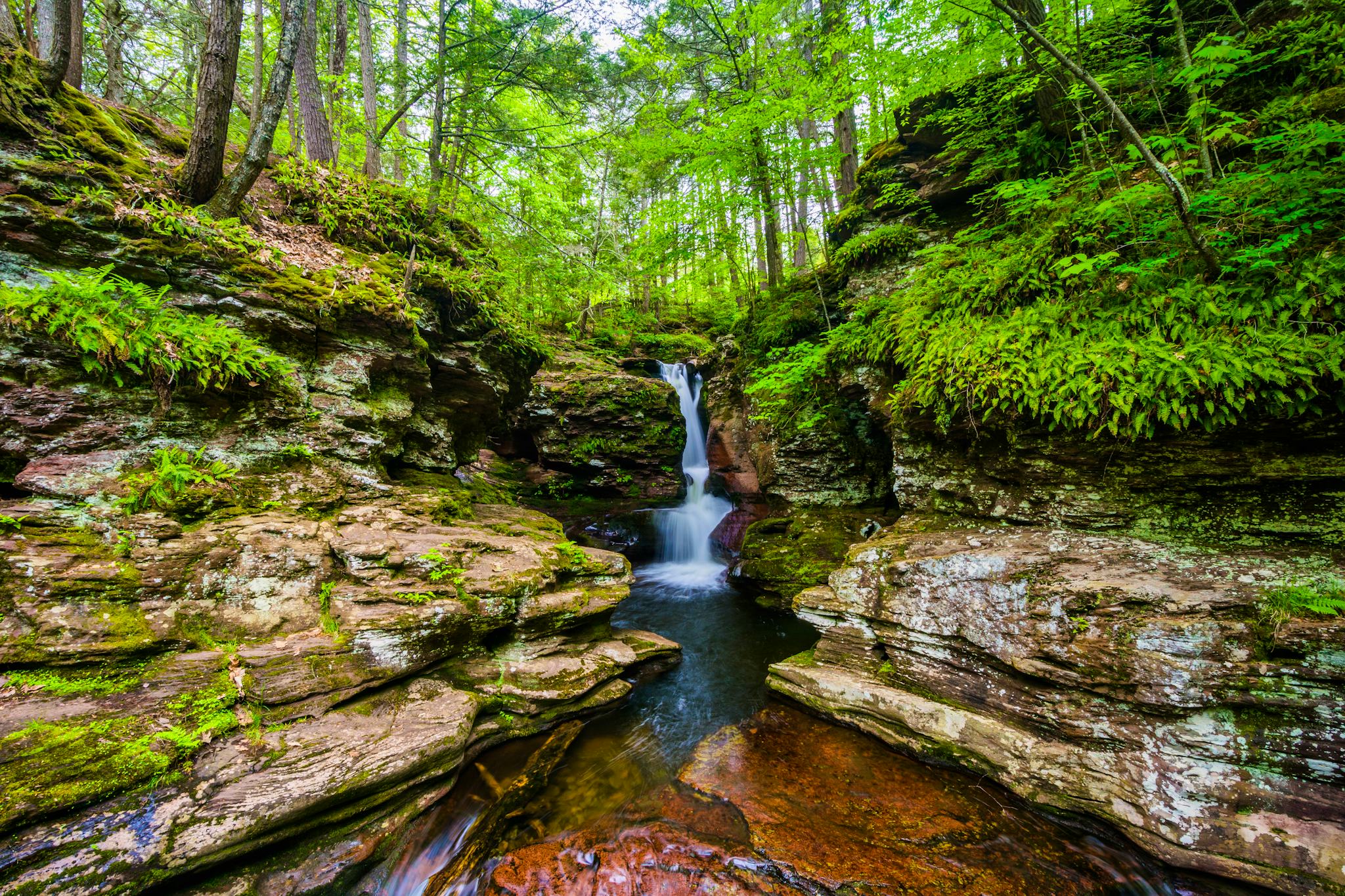 Ricketts Glen State Park