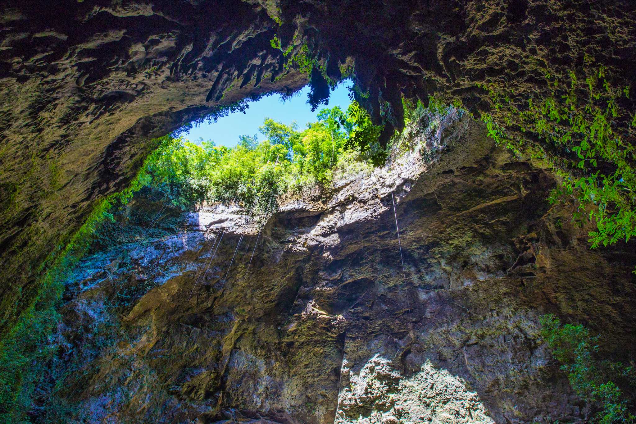 Rio Camuy Caves