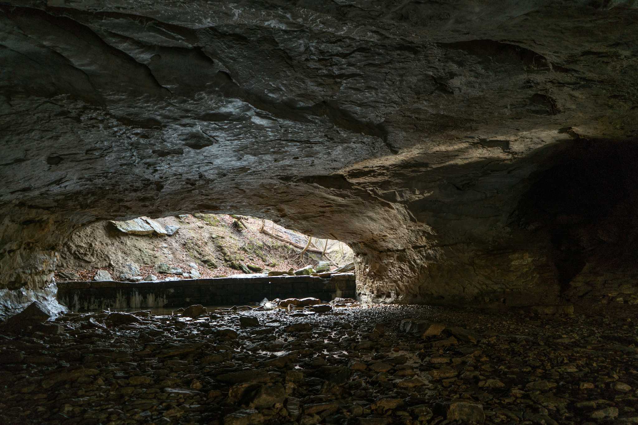 Rock Bridge Memorial State Park