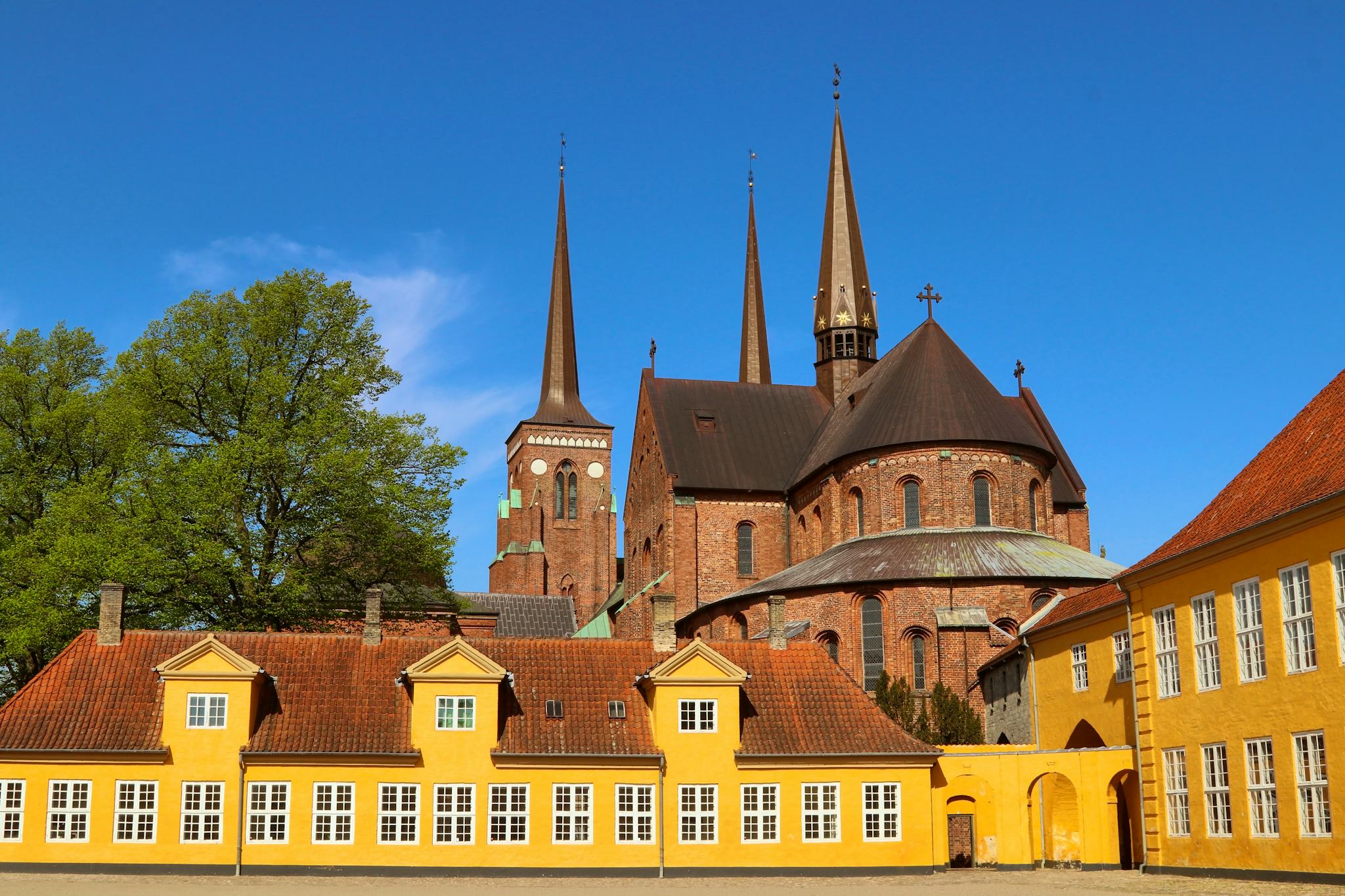 Copenhagen to Roskilde and Ledreborg Castle: Day trip