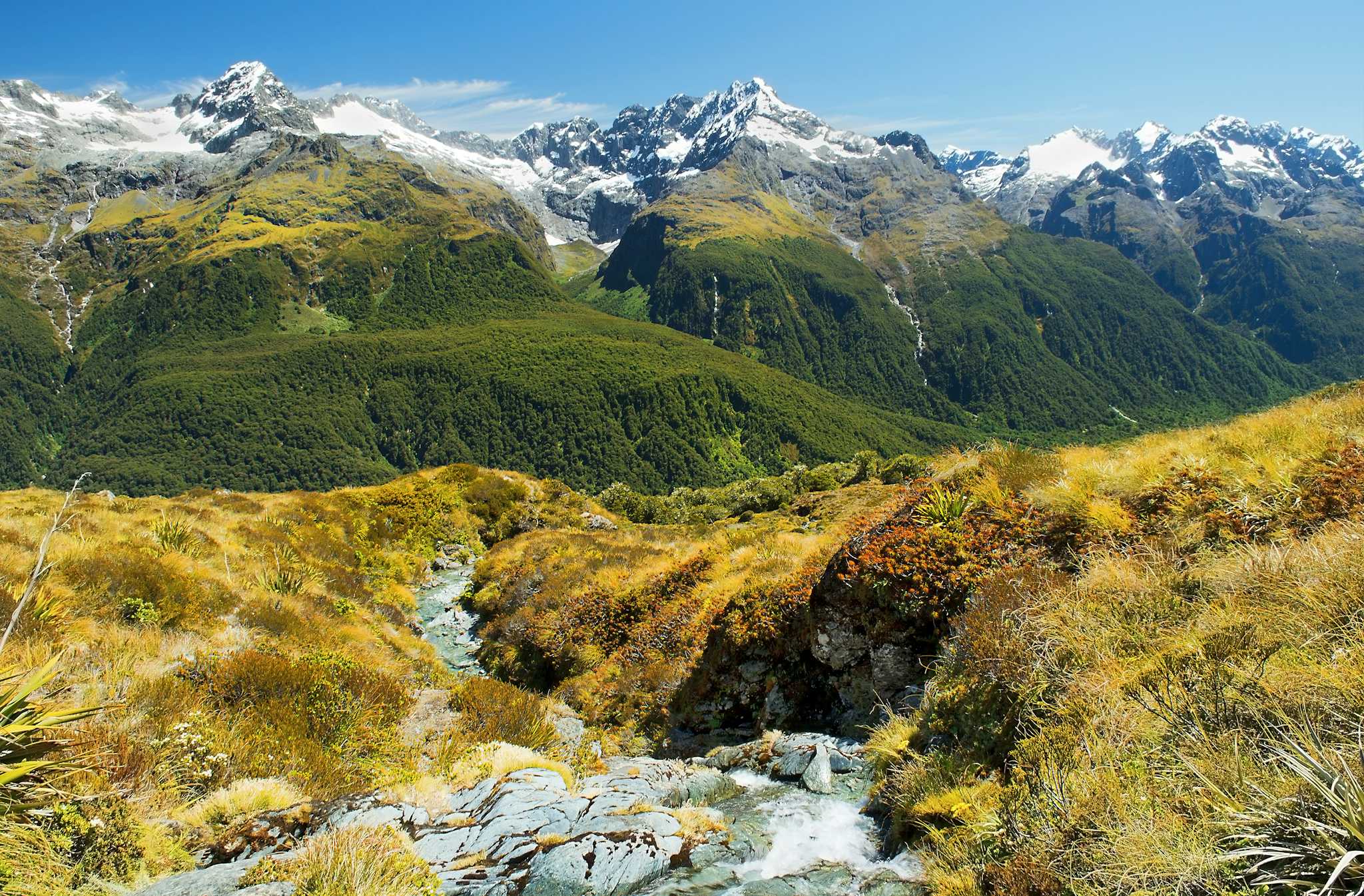 Routeburn Nature Walk