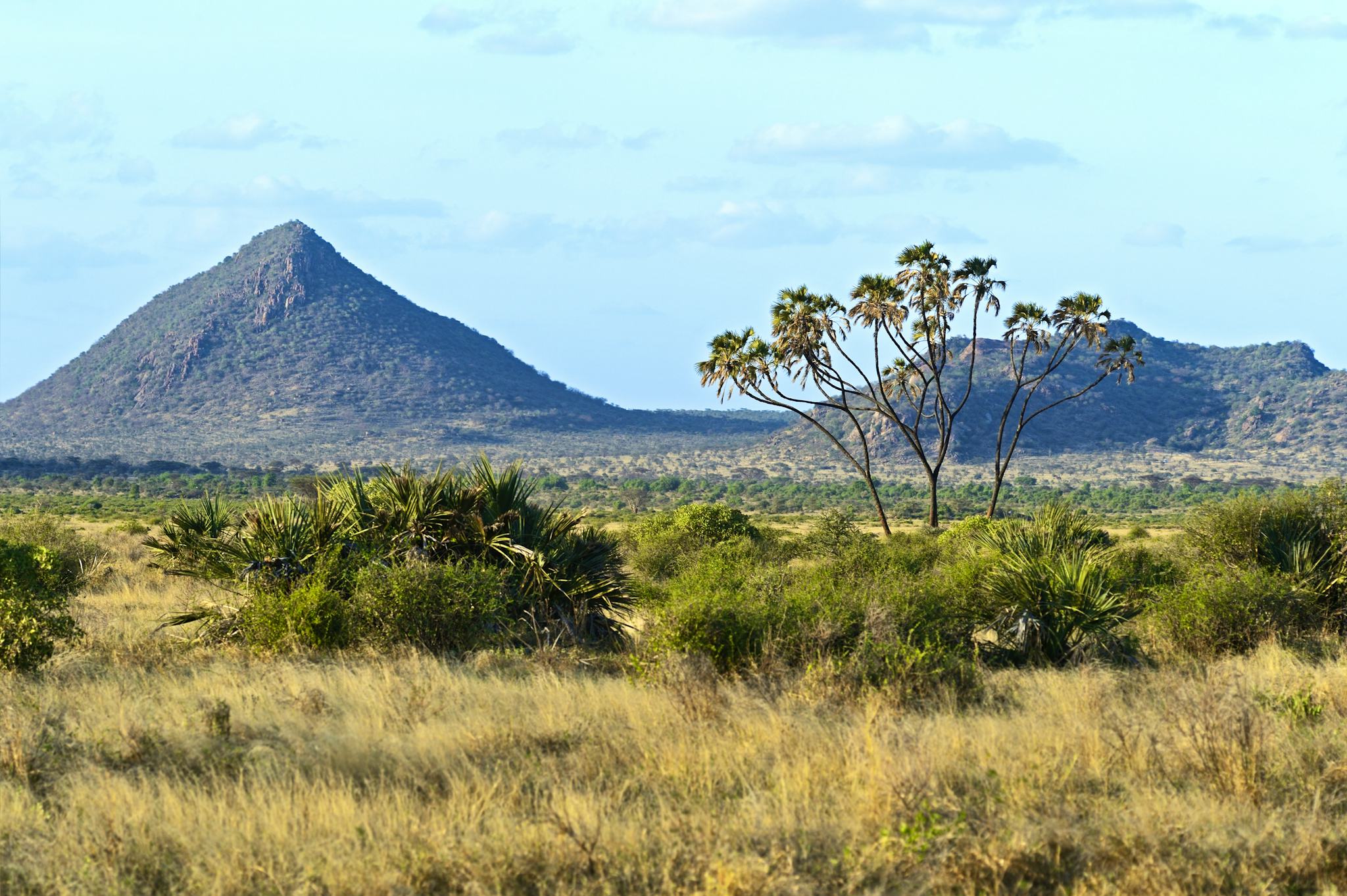 Samburu