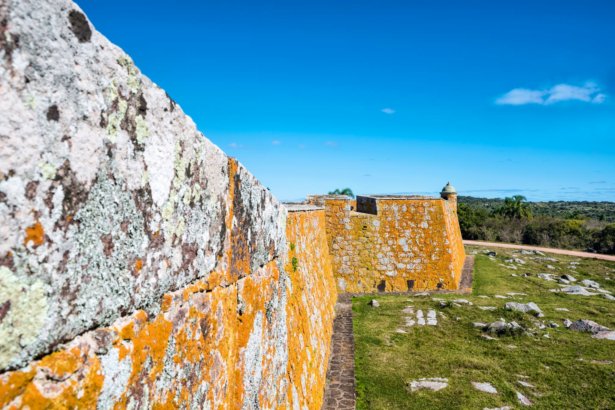 Parc national de San Miguel