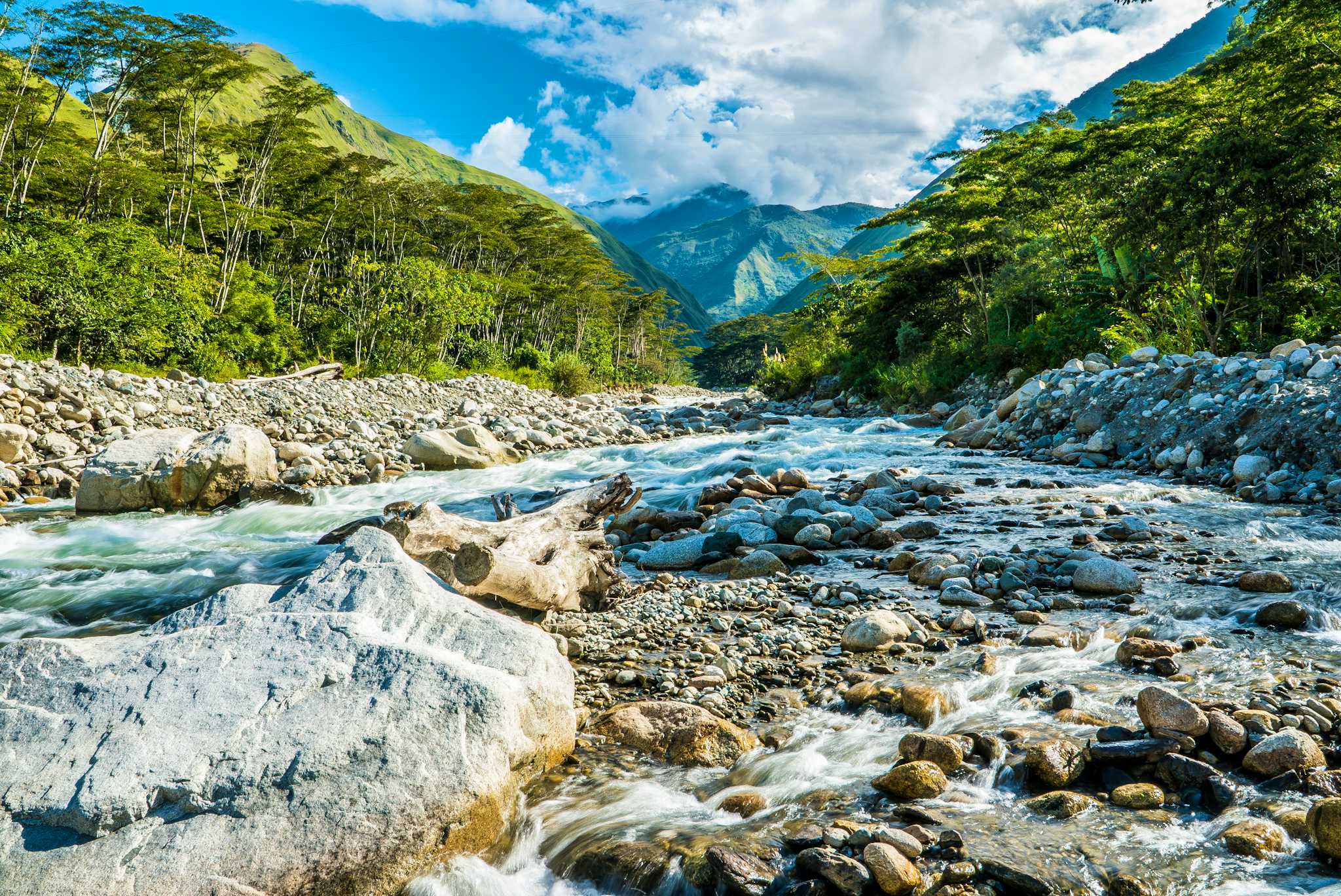 Santa Teresa